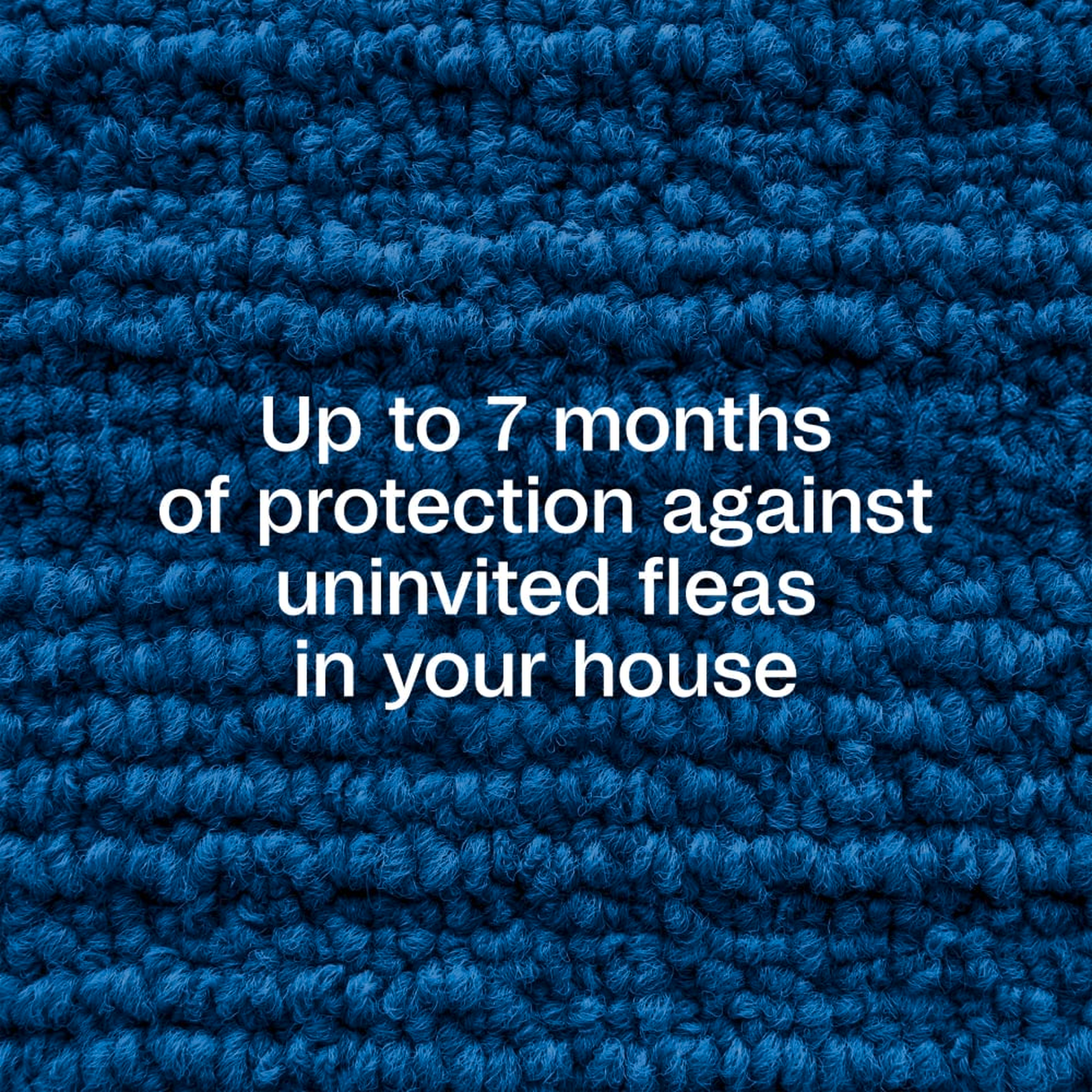 Up to 7 months of protection against uninvited fleas in your house