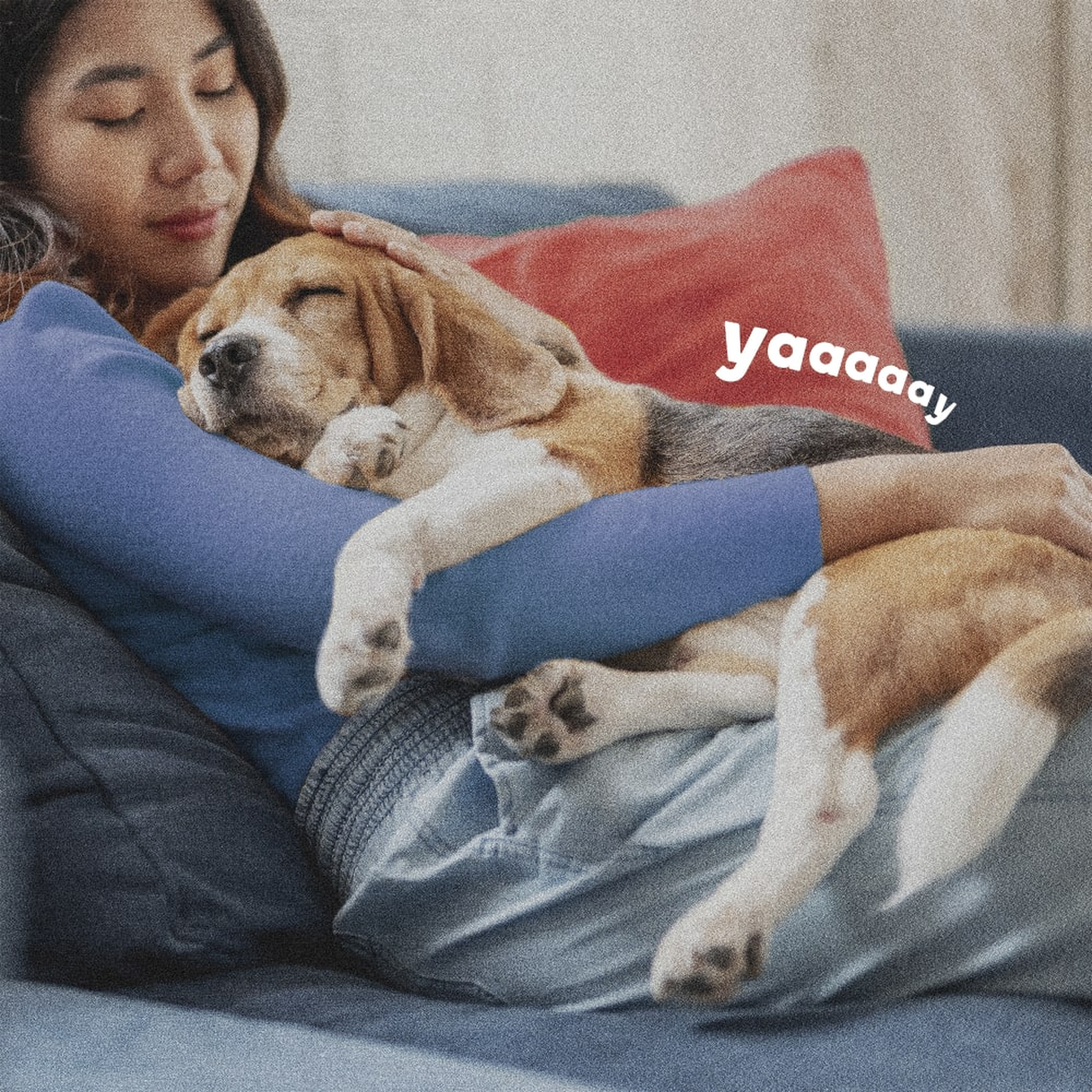 Woman relaxing on the couch with her beagle in a treated home