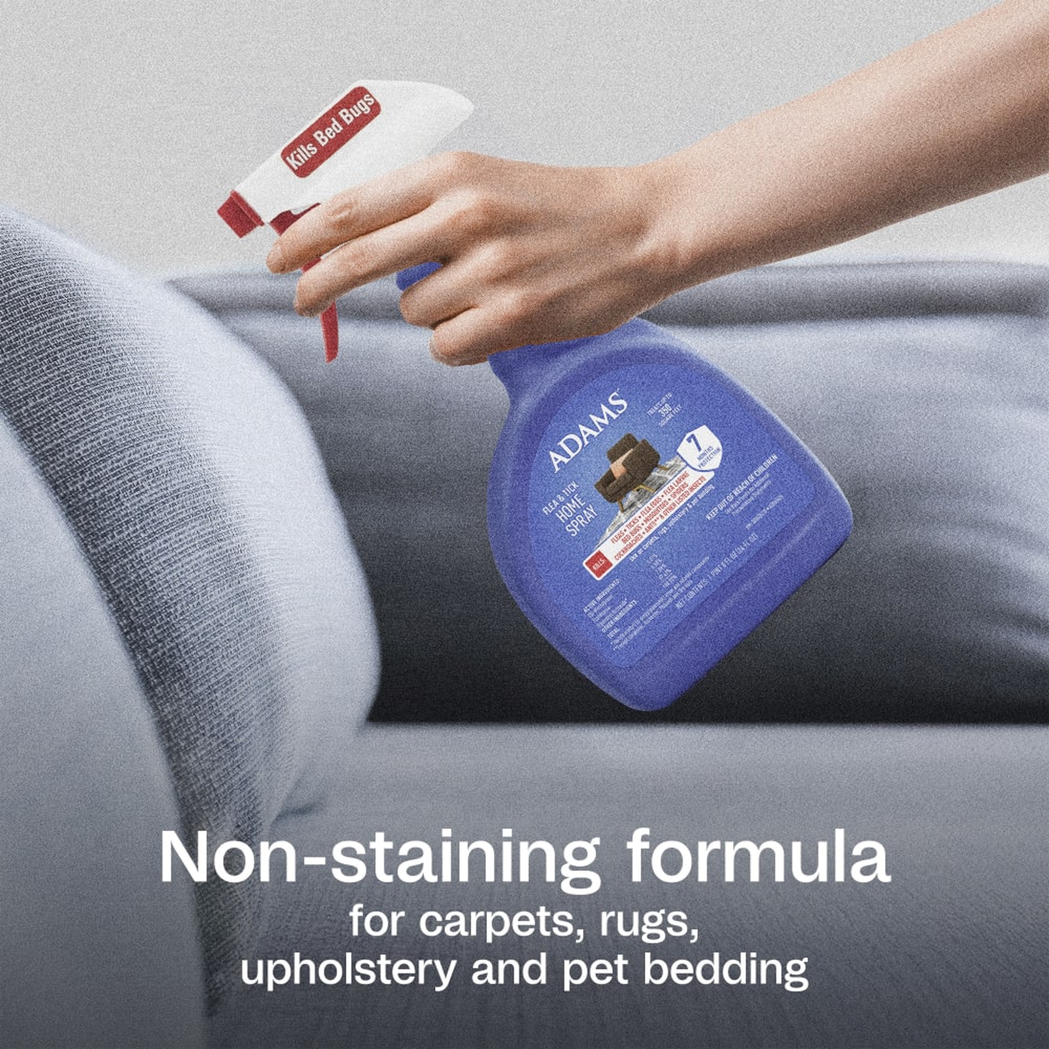 Non-staining formula for carpets, rugs, upholstery and pet bedding