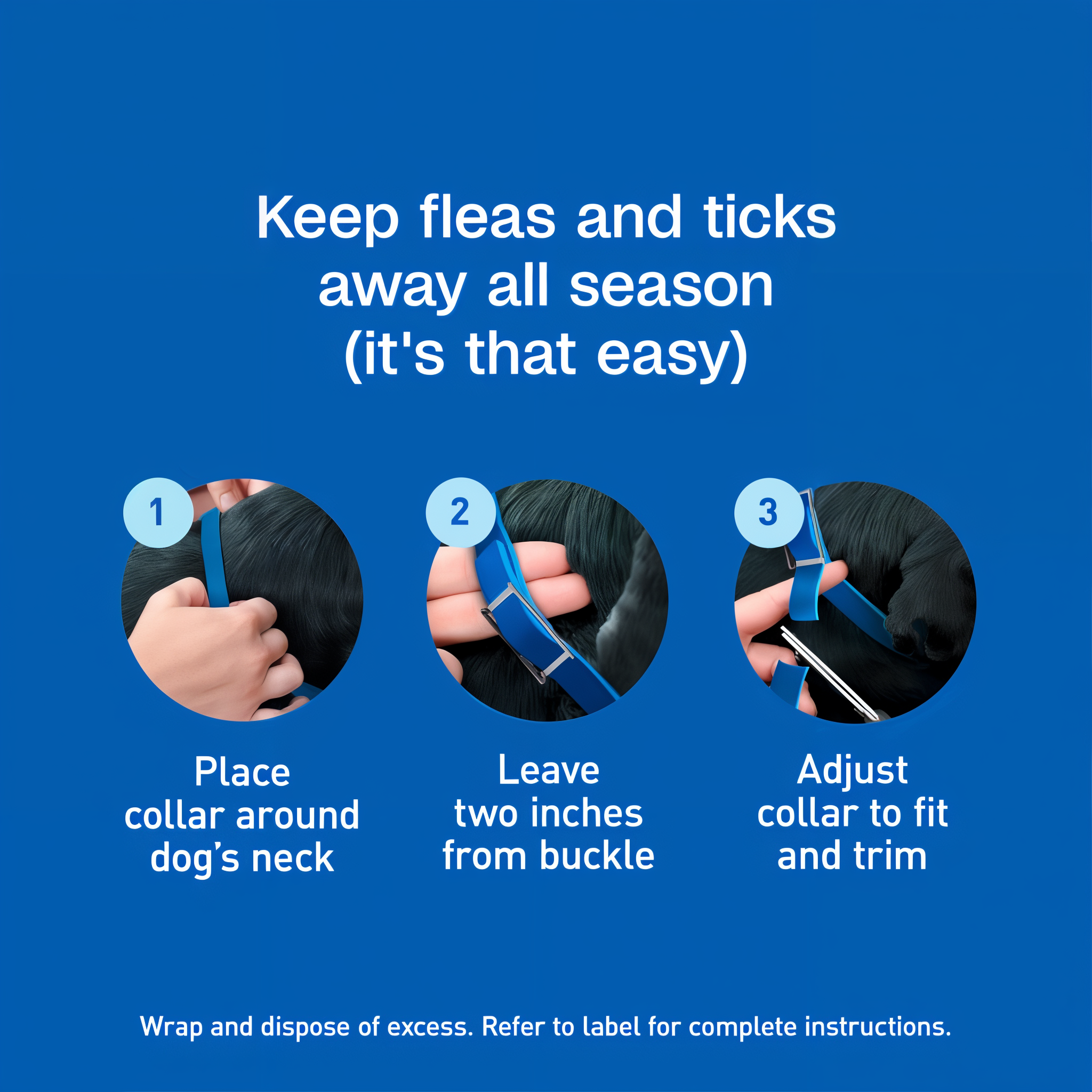 Fit the blue collar in three steps: place around neck, leave two inches from buckle, adjust and trim