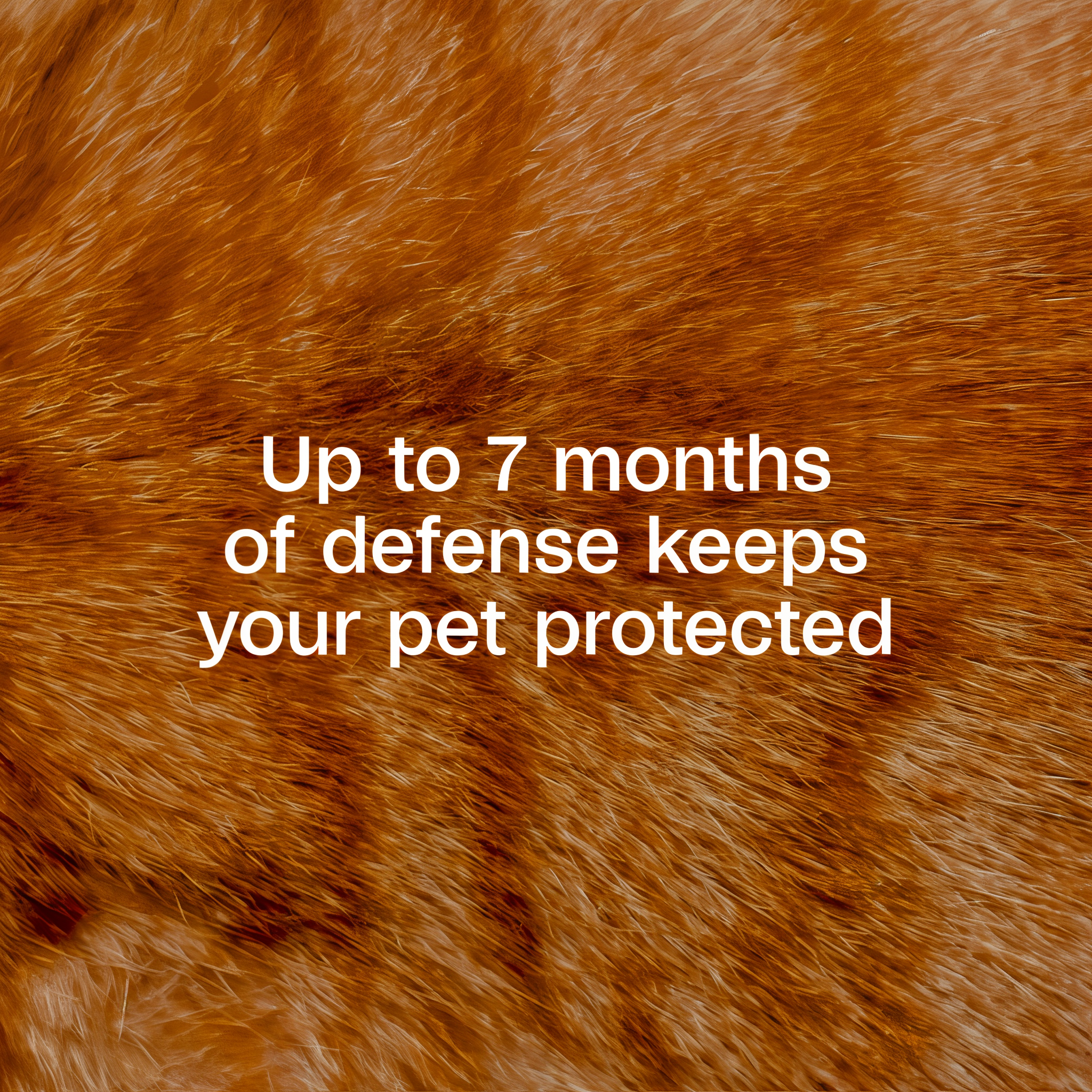 Up to 7 months of defense keeps your cat protected