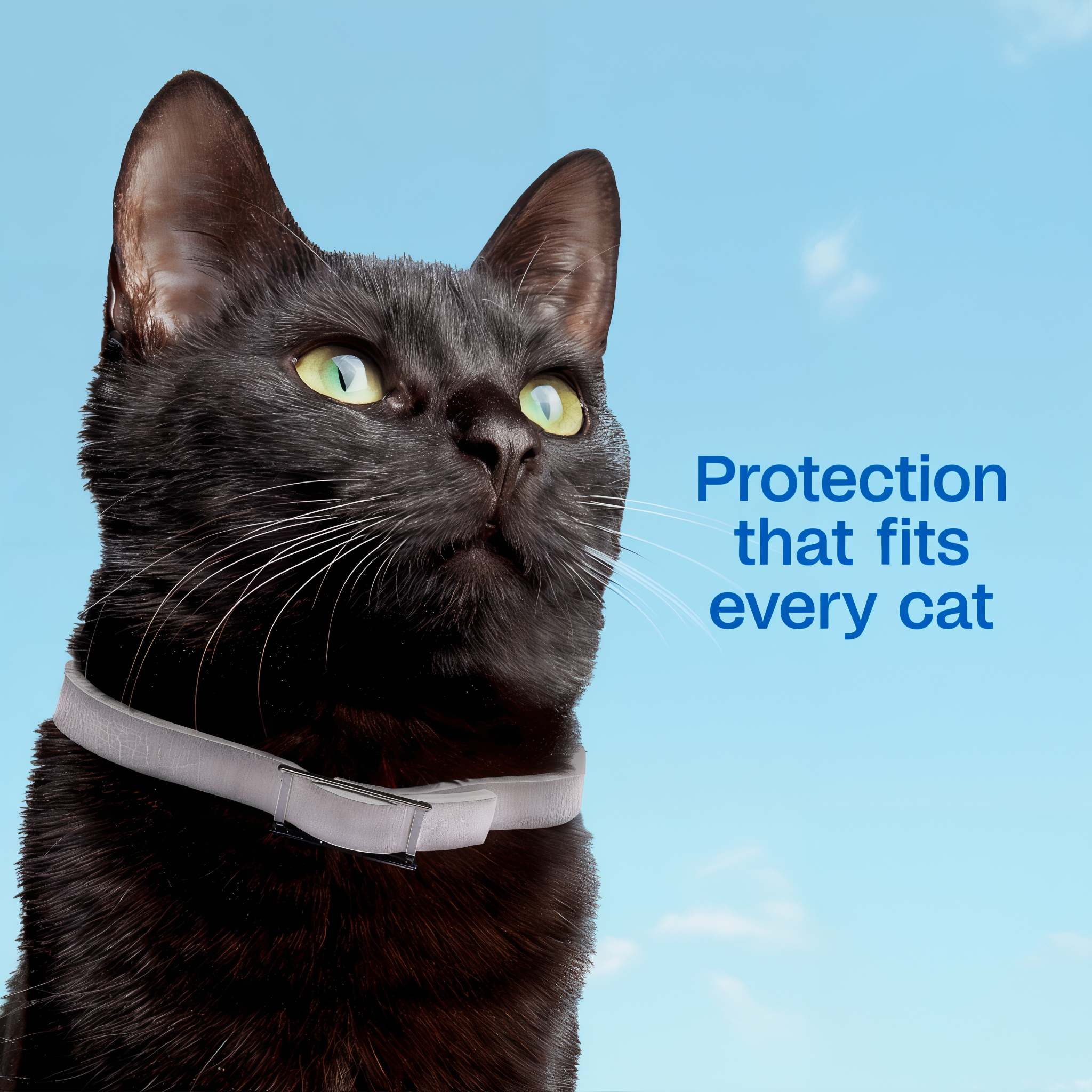 Adjustable protection that fits every cat