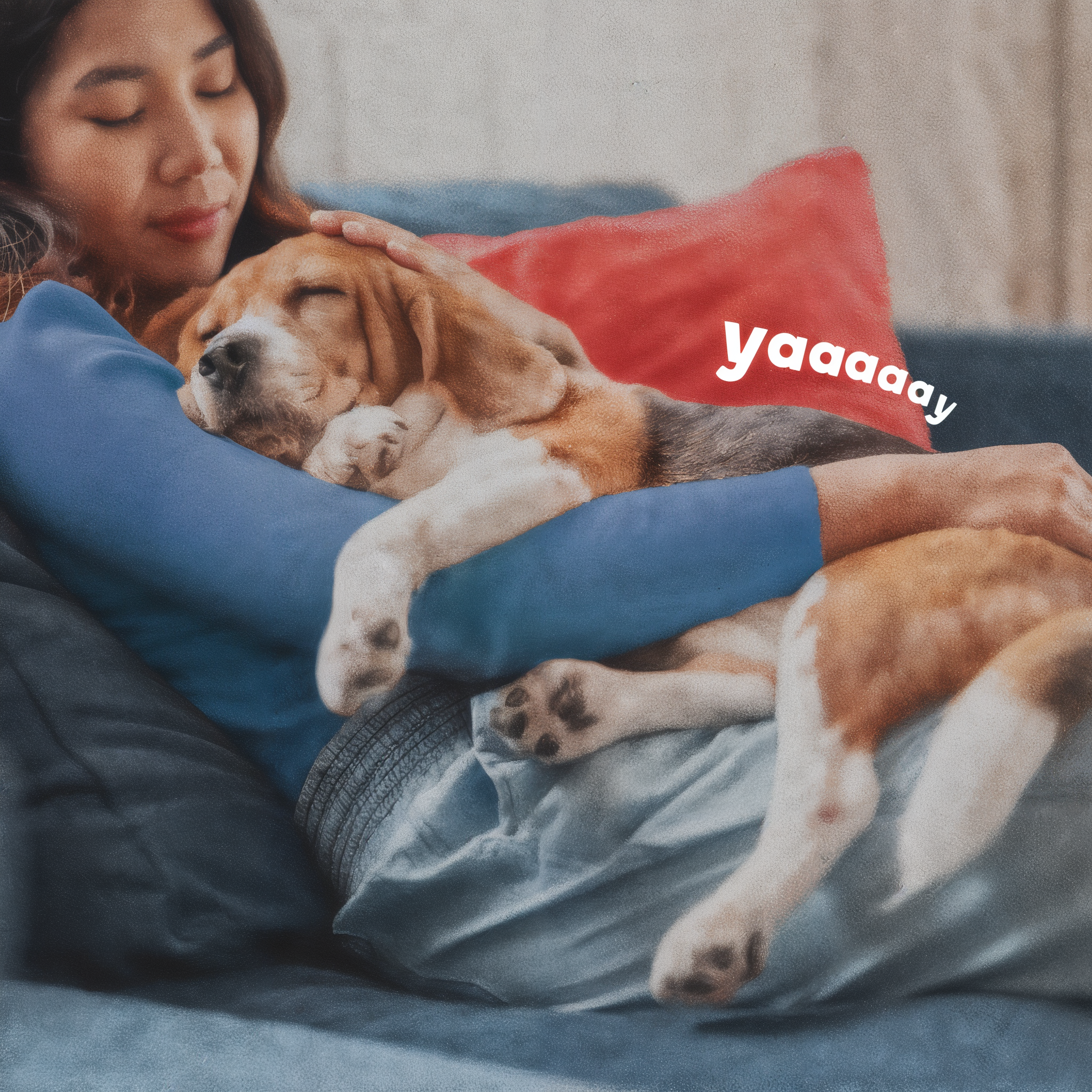 Dog sleeping in its owners arms