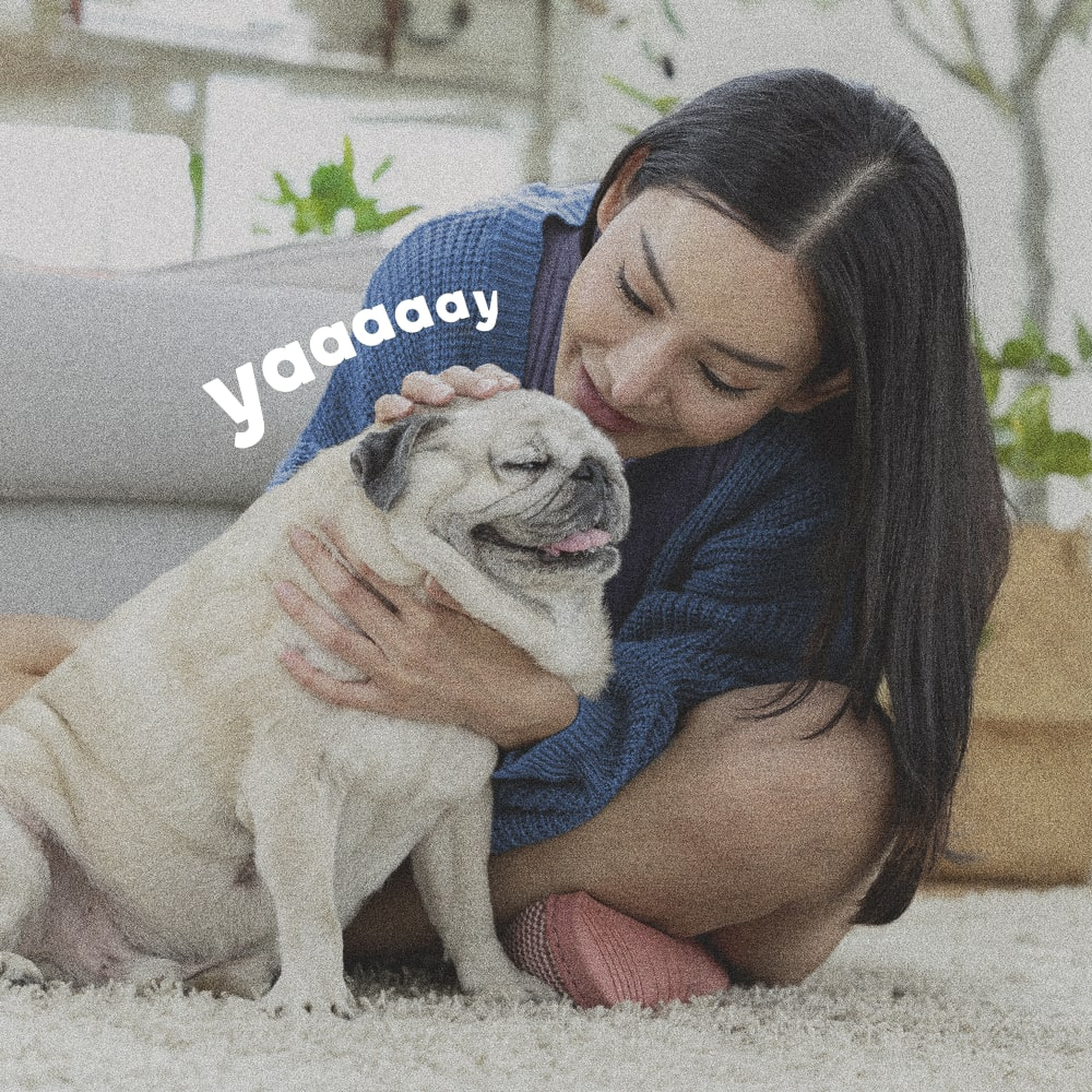 Woman sitting on a treated carpet with her pug