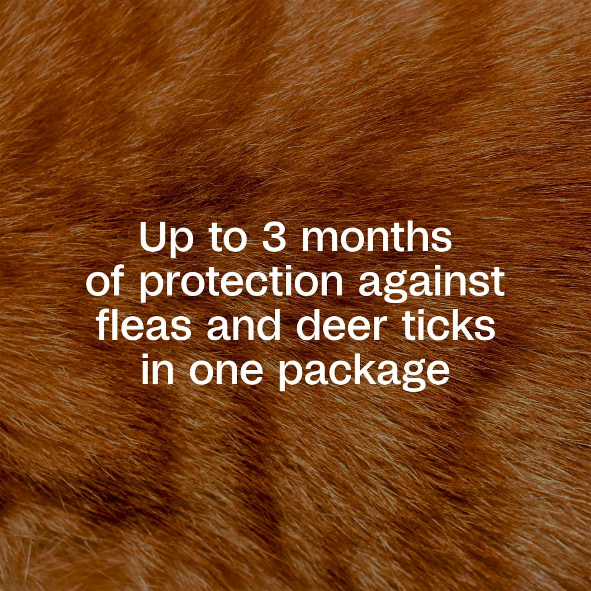 Up to 3 months of protection against fleas and deer ticks in one package