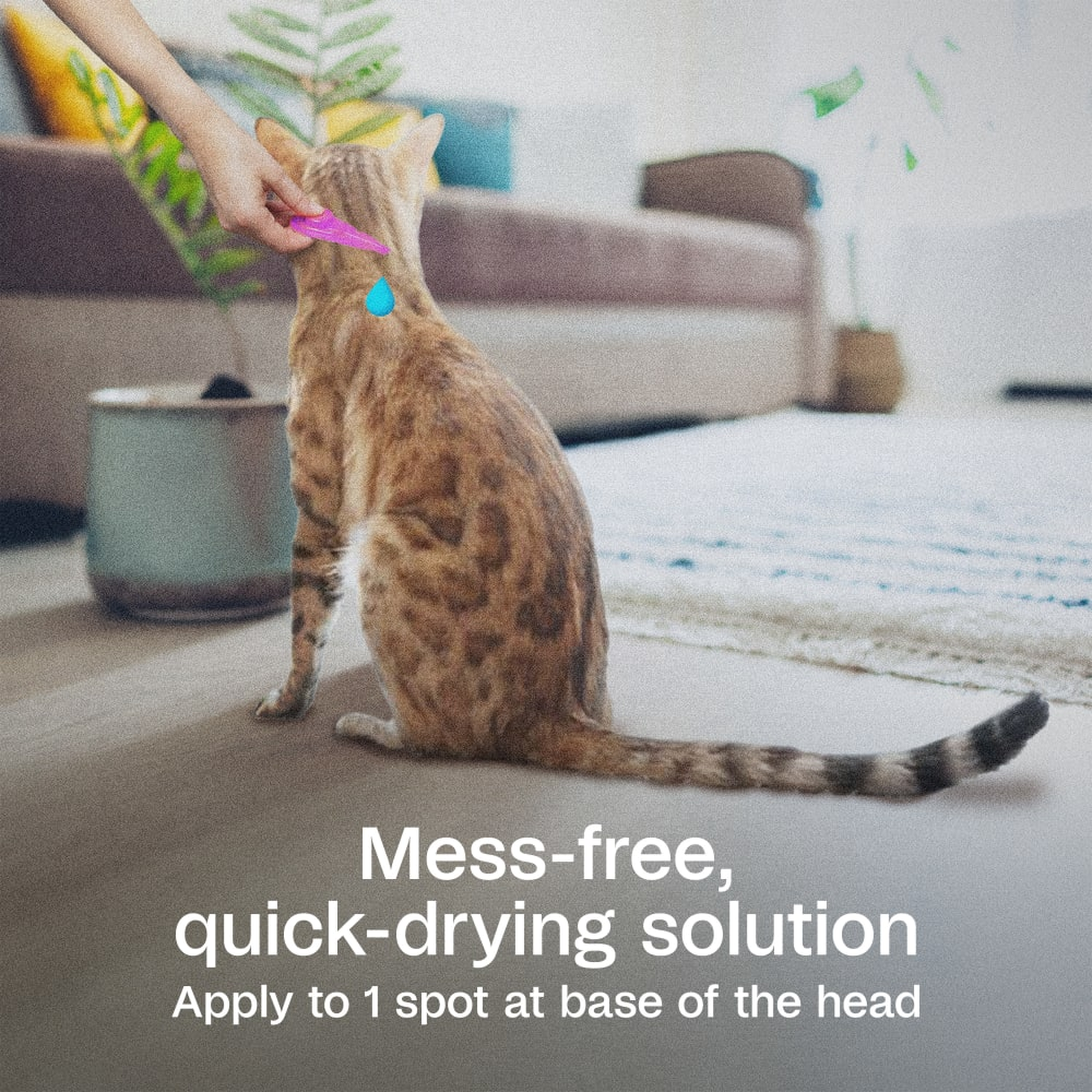Mess-free, quick-drying solution applied to one spot at the base of the head