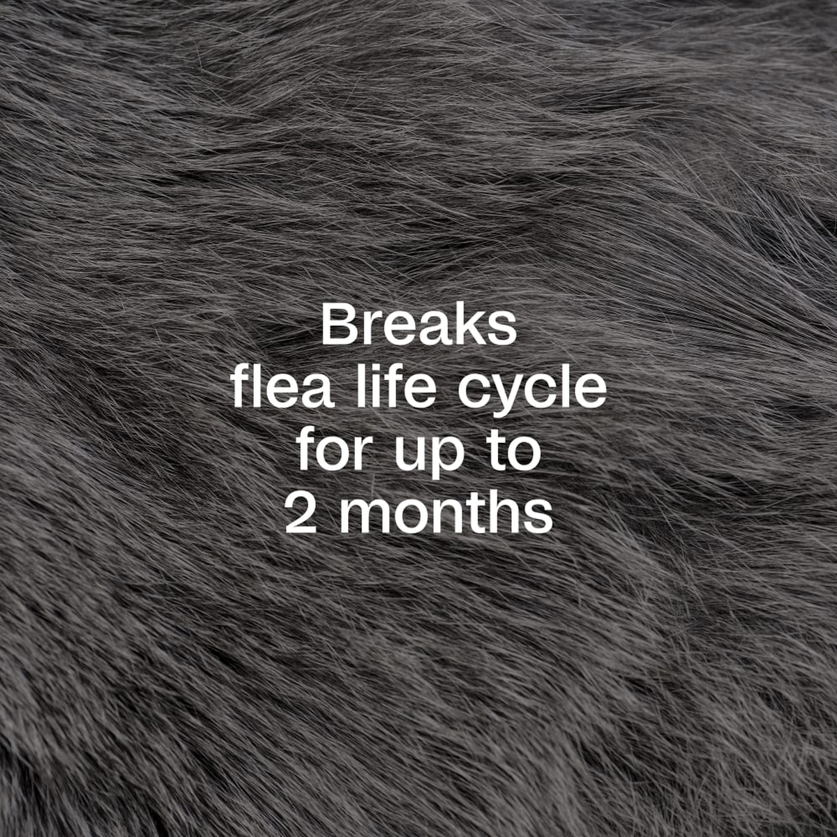 Breaks flea life cycle for up to two months