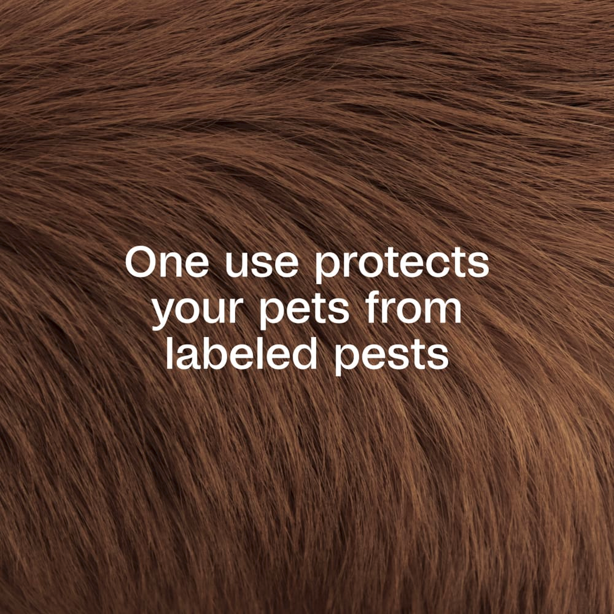 One use protects your pets from labeled pests