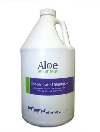 Aloe Advantage Protein Keratin Concentrate Shampoo