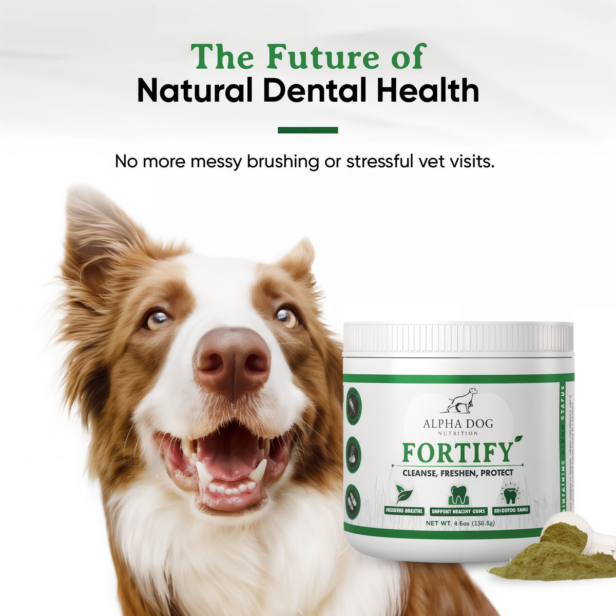Alpha Dog Nutrition Fortify Dental Powder for Dogs 4.6 oz -- lifestyle