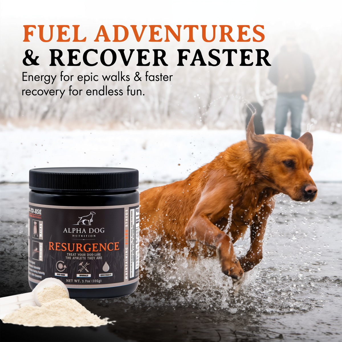Alpha Dog Nutrition Resurgence Hydration & Recovery Supplement for Dogs 3.7 oz -- lifestyle