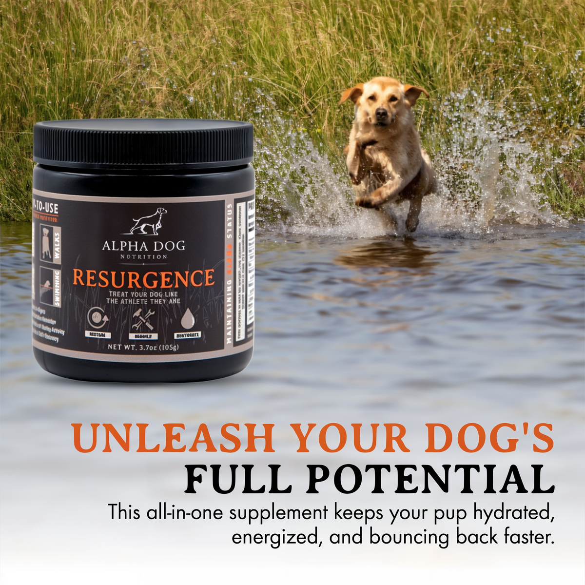 Alpha Dog Nutrition Resurgence Hydration & Recovery Supplement for Dogs 3.7 oz -- lifestyle