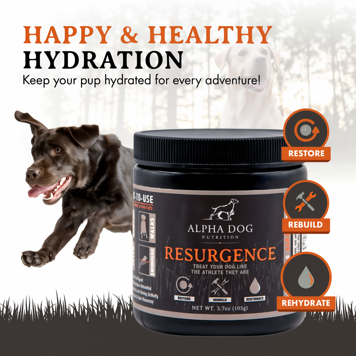 Alpha Dog Nutrition Resurgence Hydration & Recovery Supplement for Dogs 3.7 oz -- lifestyle