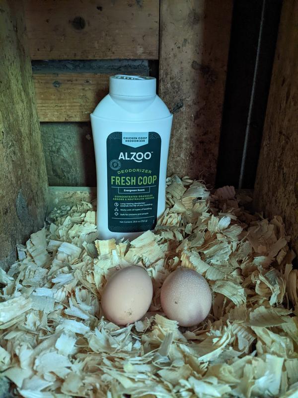 Alzoo Fresh Coop Deodorizer in a chicken coop nesting box