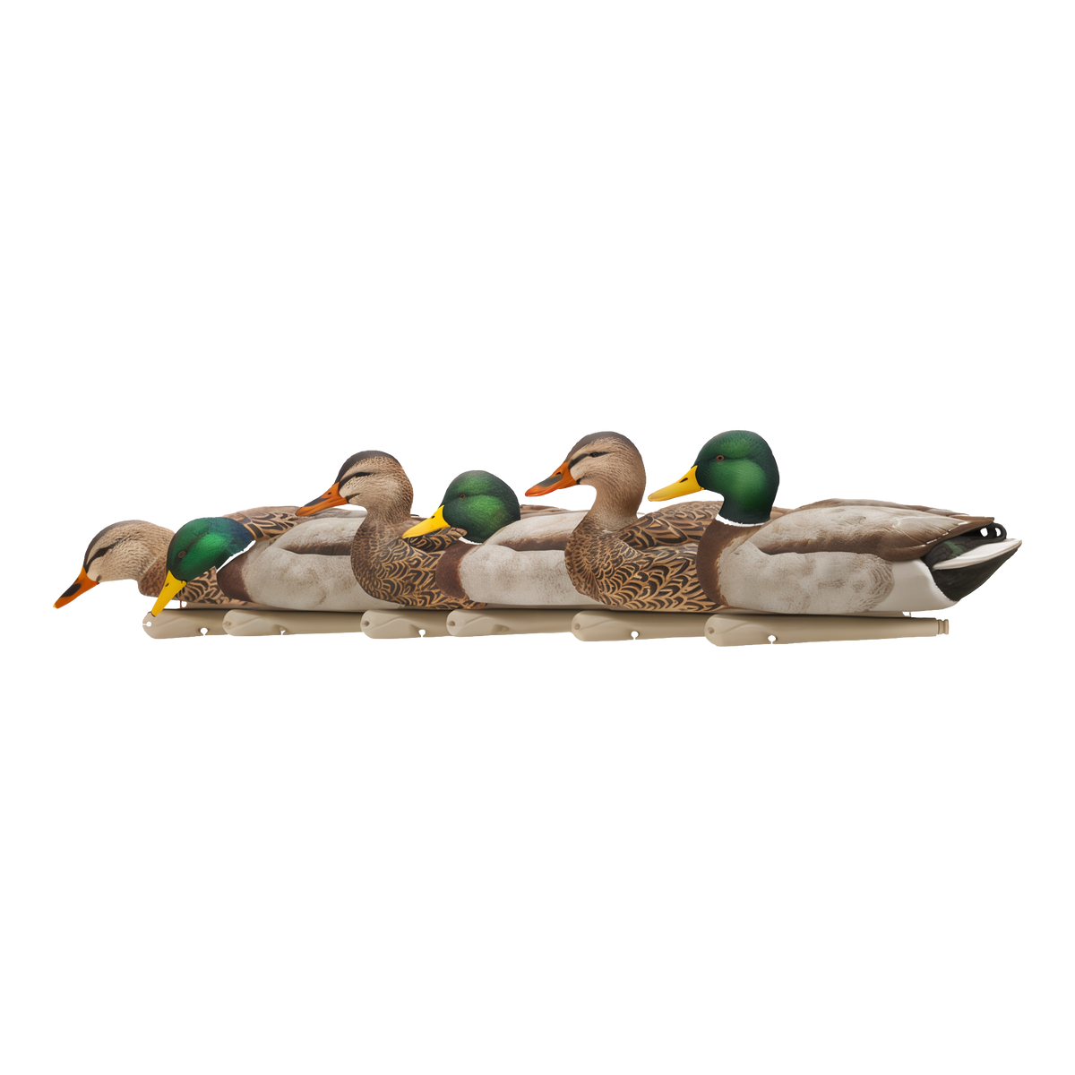 Avian-X Topflight Fusion Mallards 6-Pack -- product image