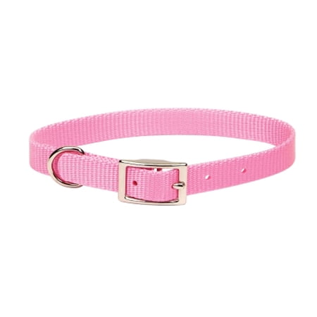 Coastal Pet Single Nylon Collar, bright pink, 14 inch size