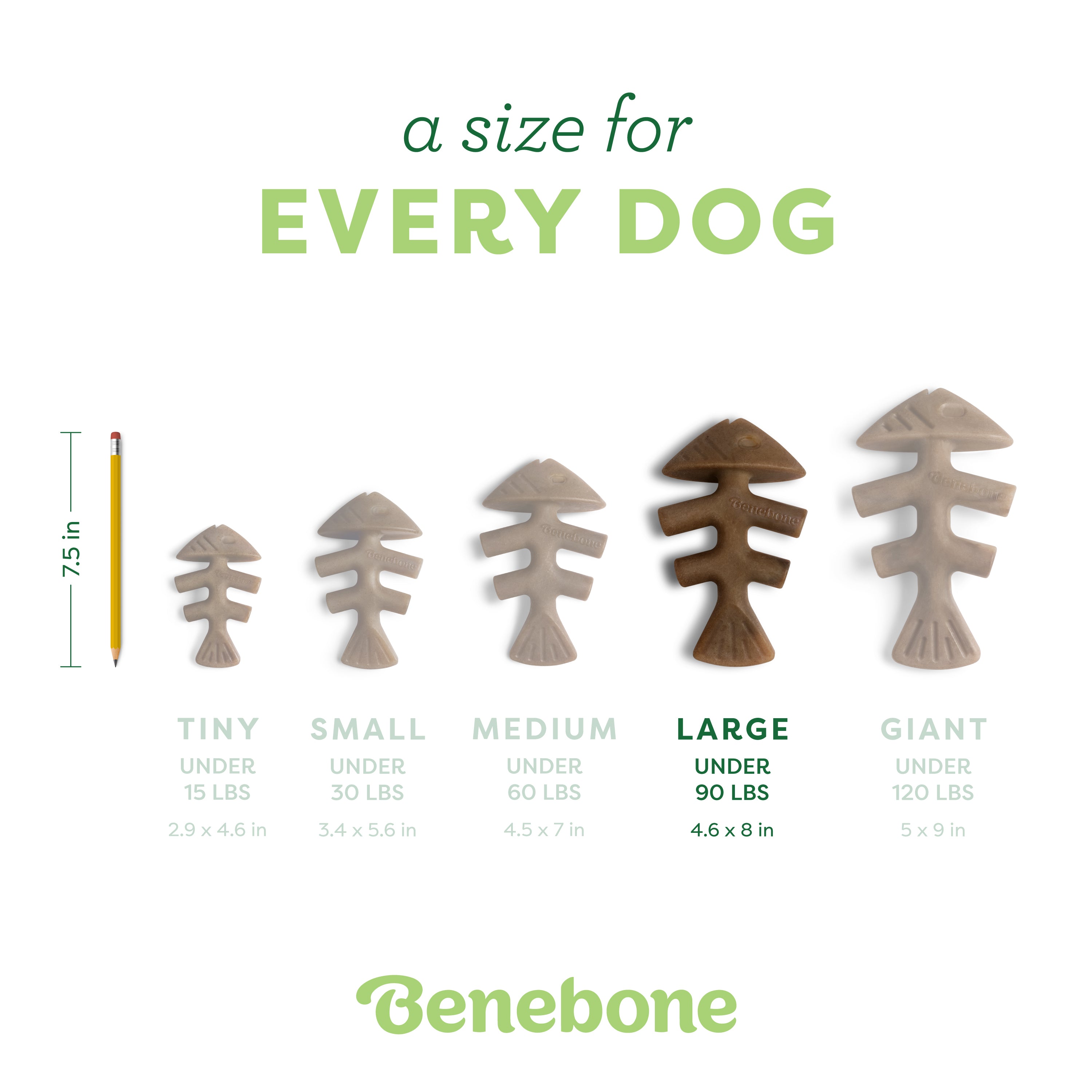 Large Fishbone curved paw-friendly shape