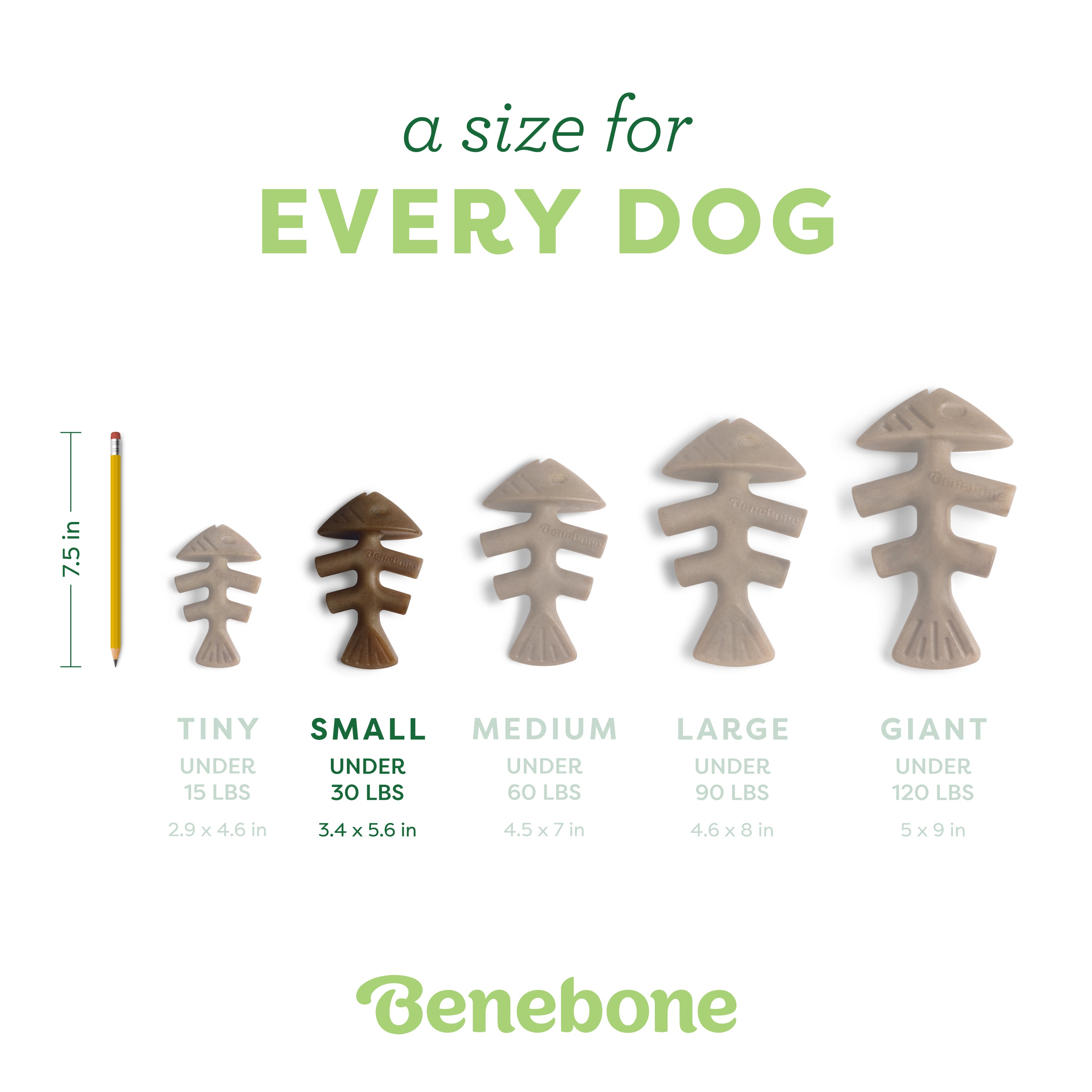 Fishbone curved shape is easy for paws to hold