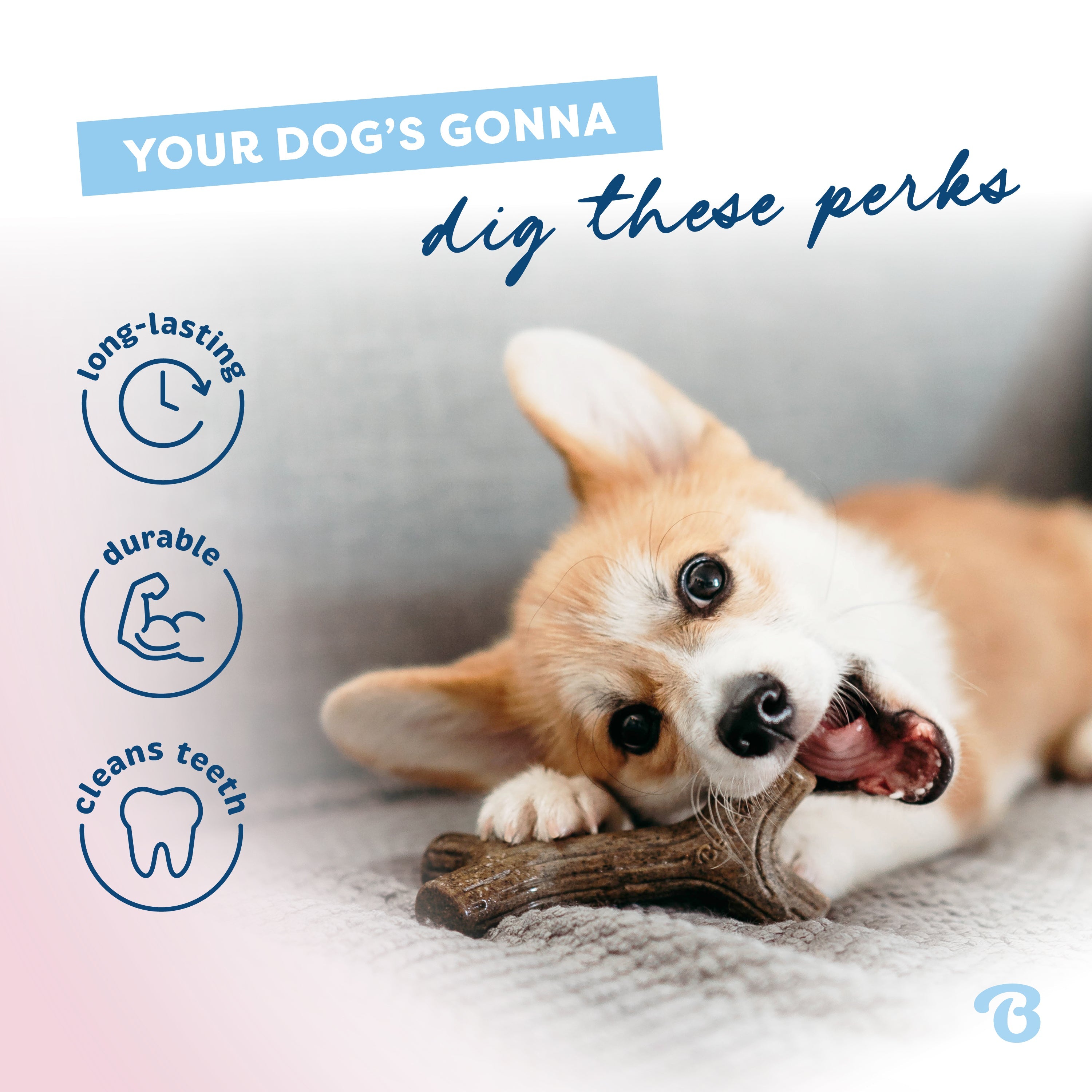 Puppy Maplestick softer material for growing teeth