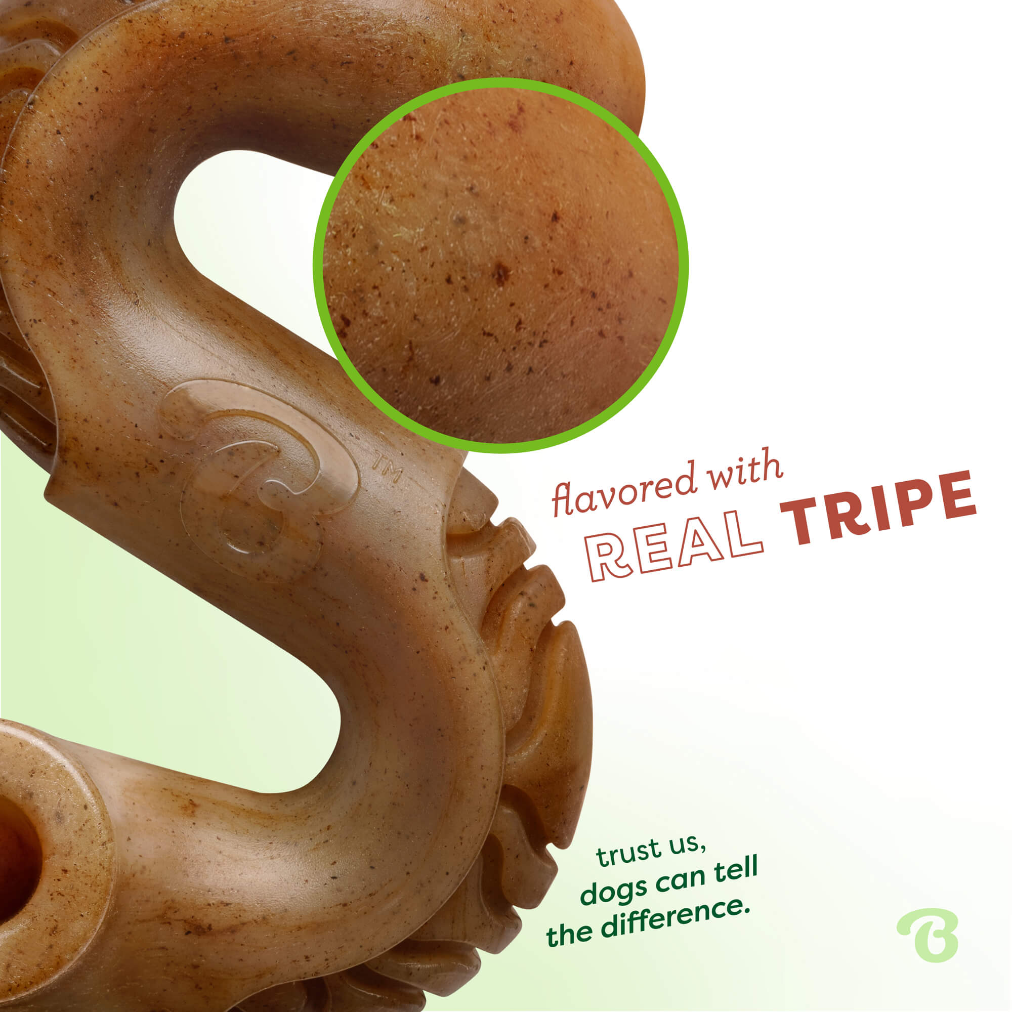 Giant Tripe Bone detail