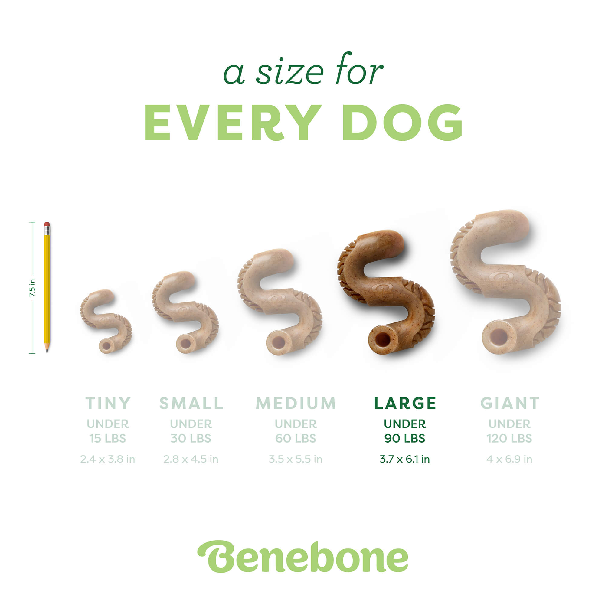 Tripe Bone textured chewing surface