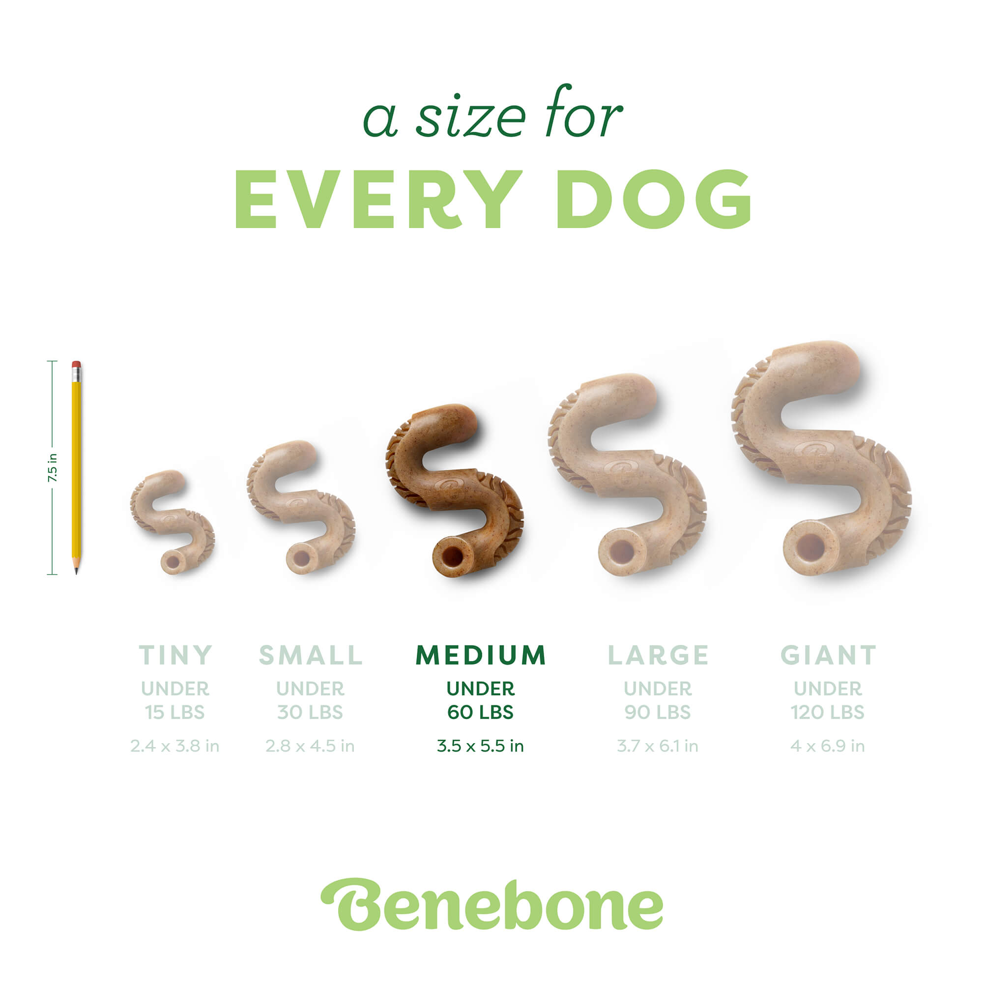 Tripe Bone textured chewing surface
