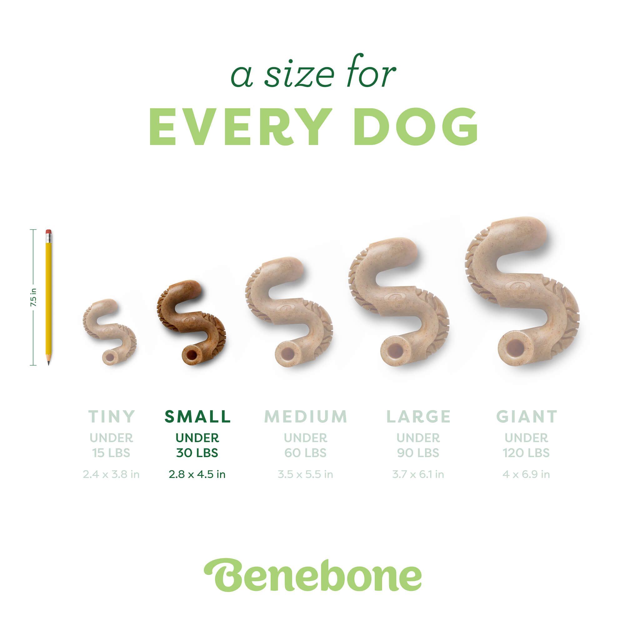 Tripe Bone textured chewing surface