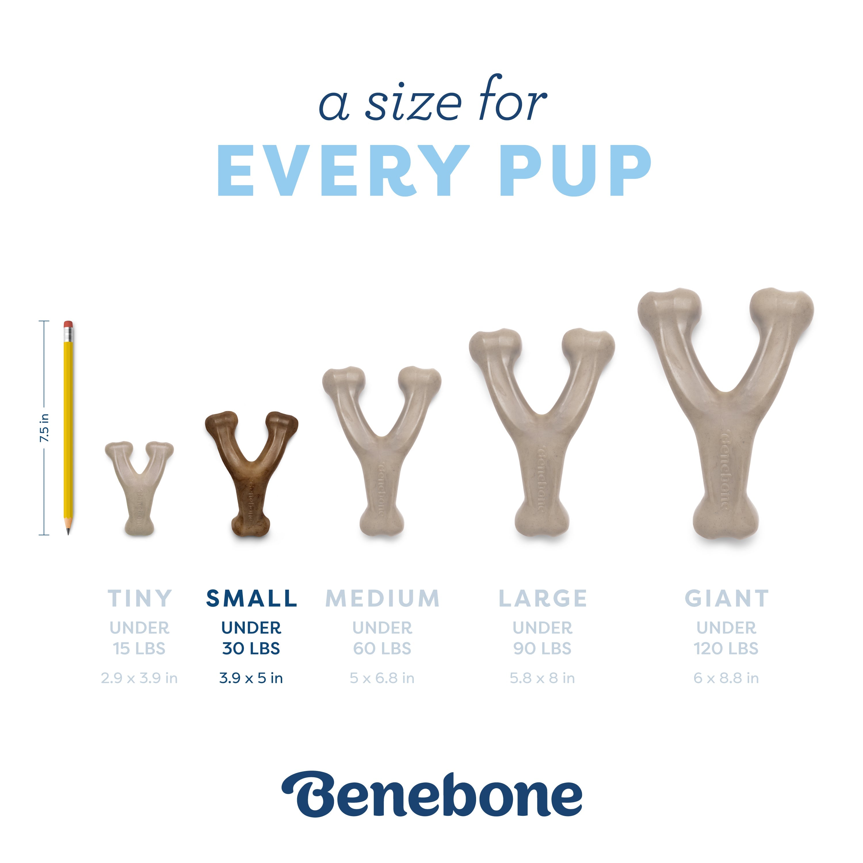 Puppy Wishbone softer material for growing teeth