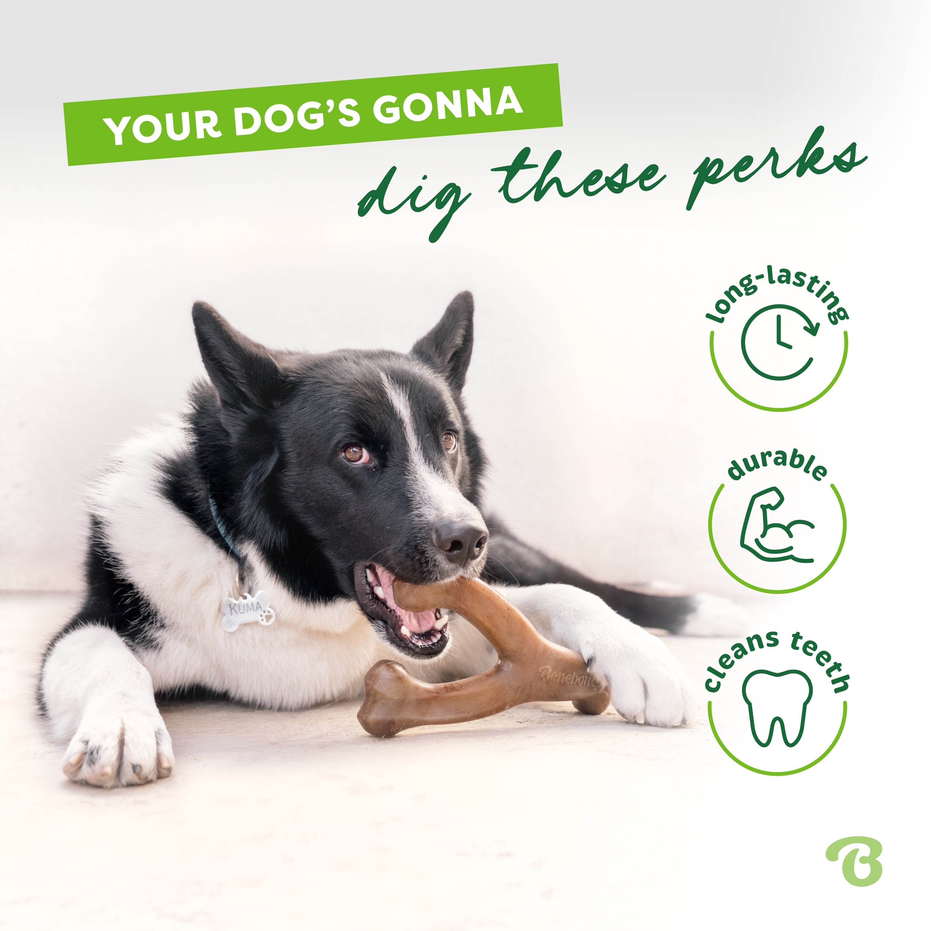 Wishbone paw-friendly grip design