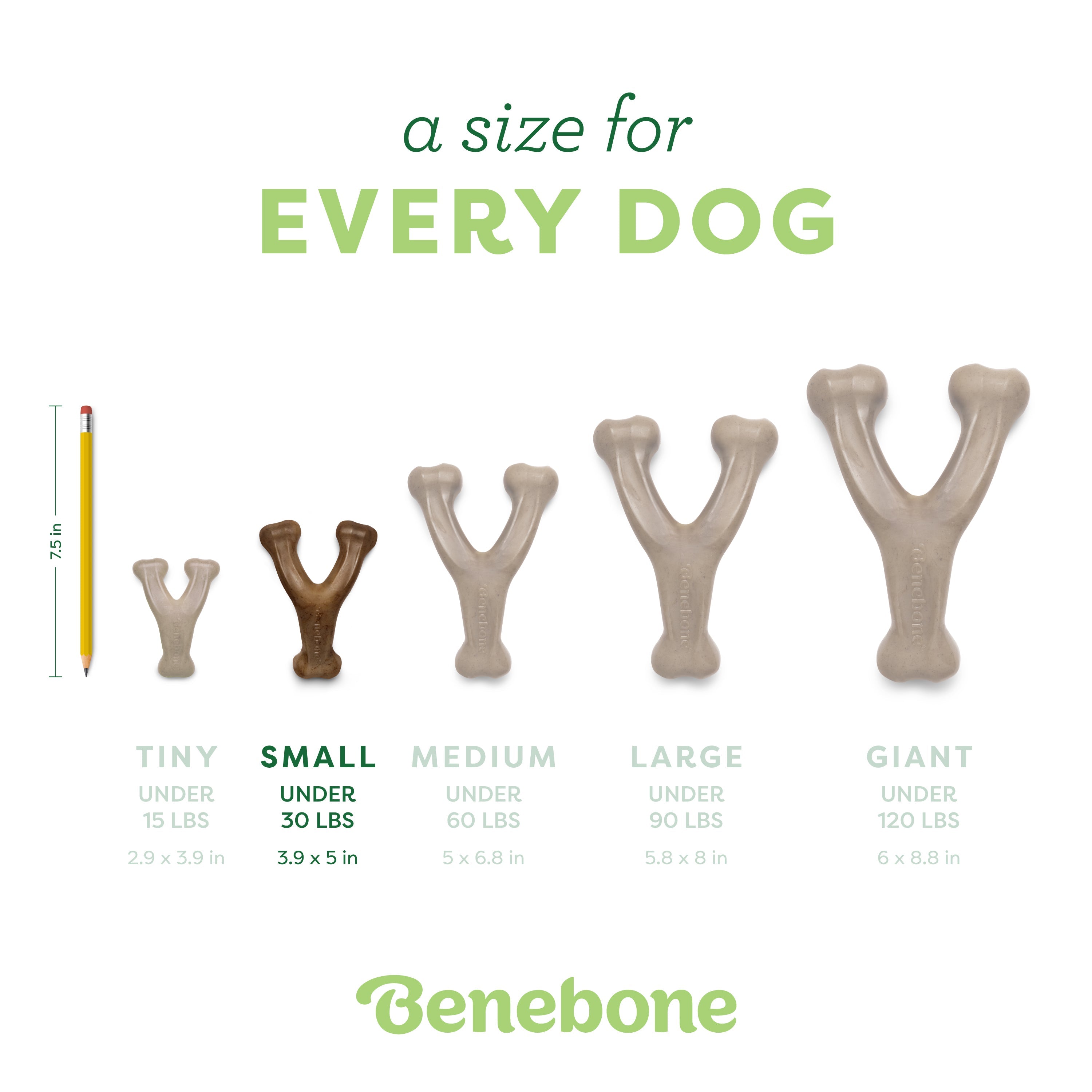 Wishbone deep flavor detail