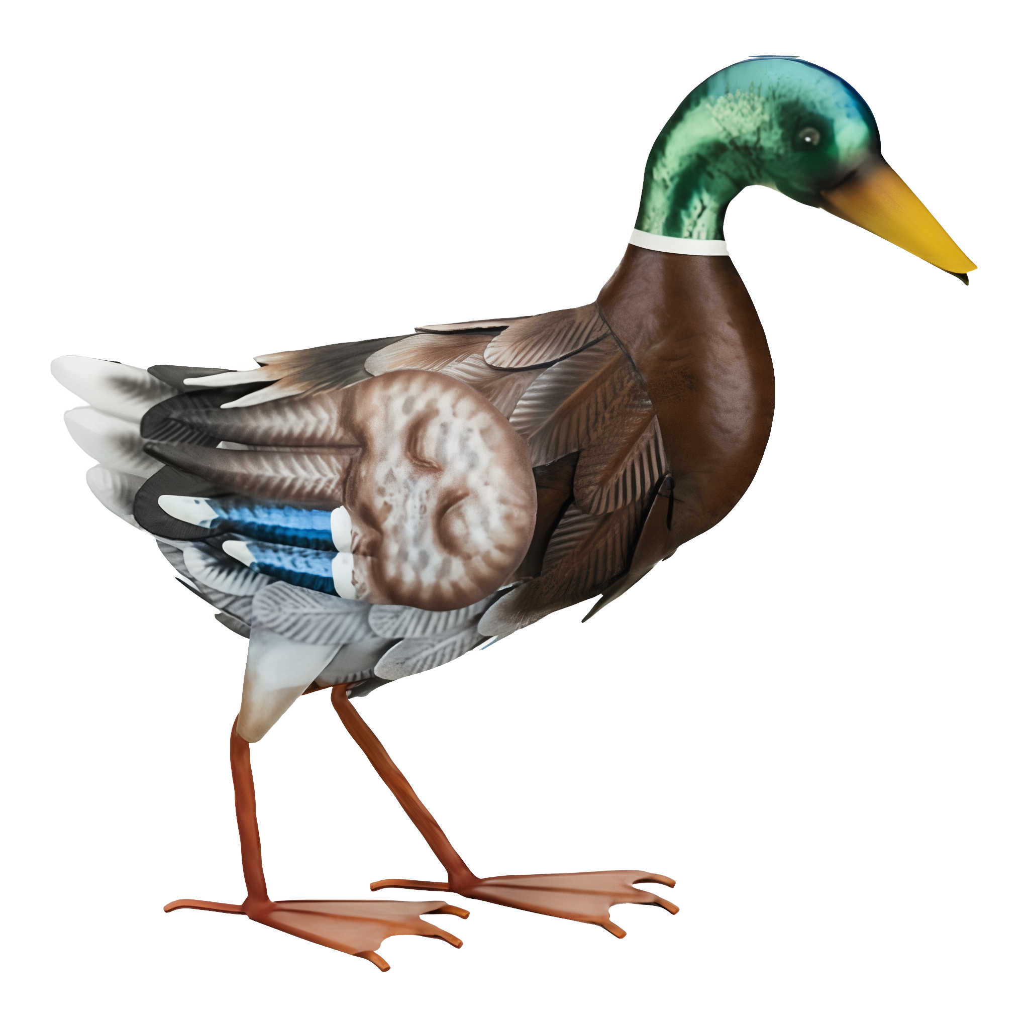 Mallard - Walking