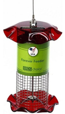 Birds Choice Forever Black Oil Sunflower Bird Feeder
