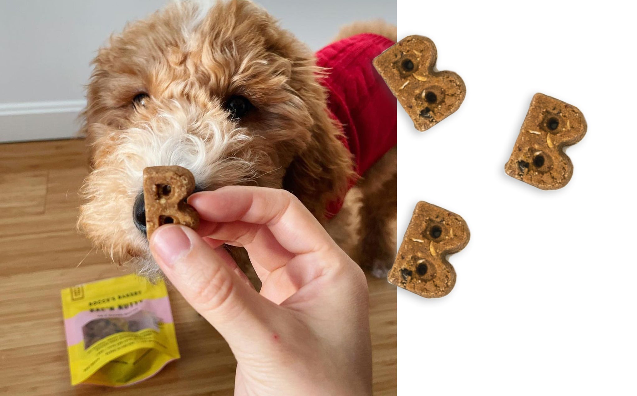 Close-up of the B-shaped Bocce's Bakery Bac'n Nutty soft and chewy treats beside a curly-coated puppy taking one from a person's hand