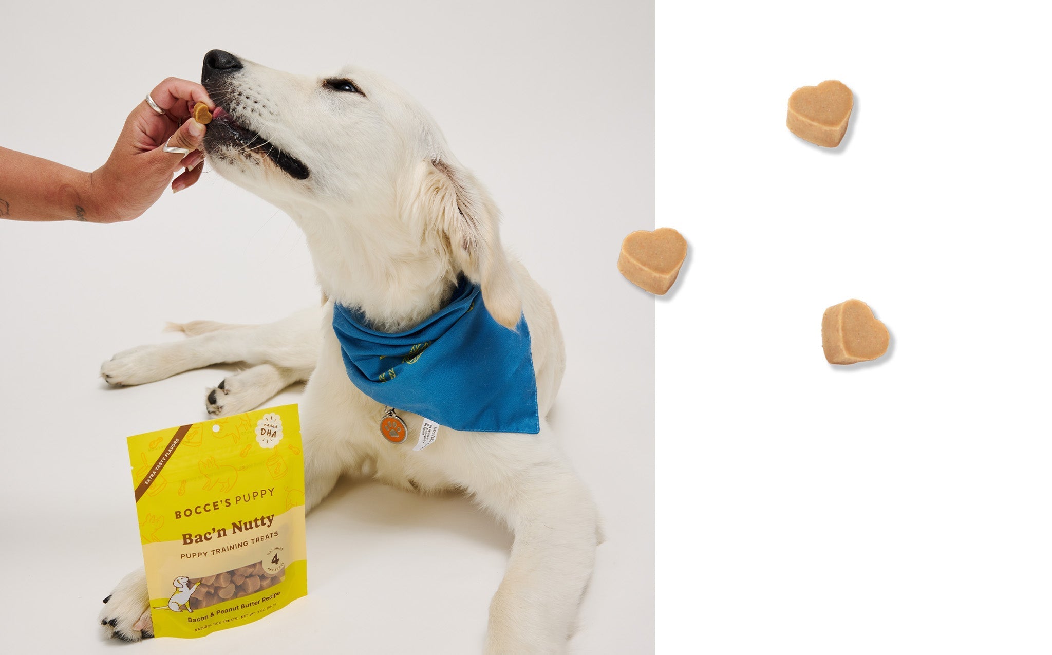 Puppy taking a Bac'n Nutty training bite from a hand, with close-up of the small heart-shaped treats