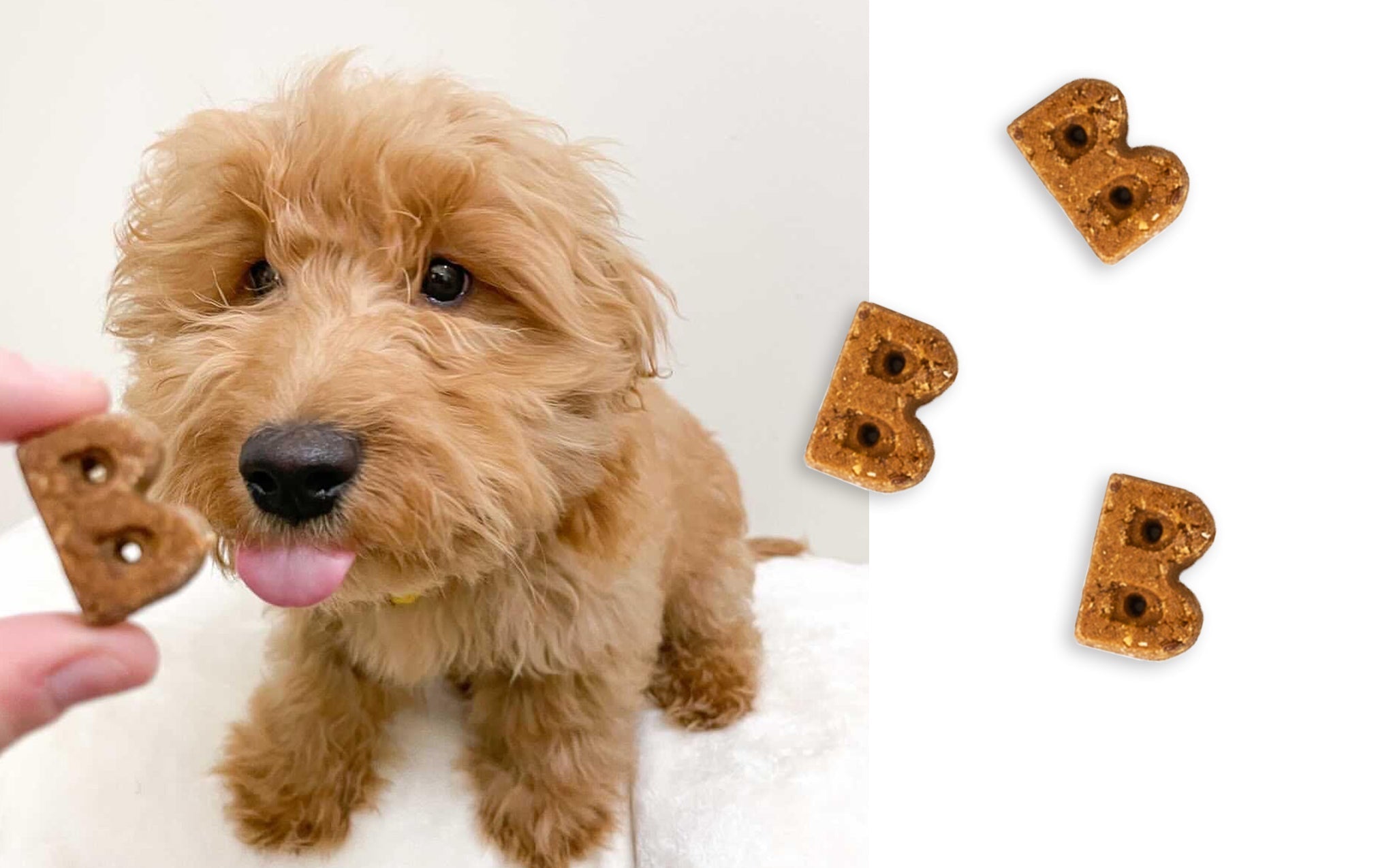 Puppy taking a B-shaped Bocce's soft and chewy treat, with a close-up of the chewy duck treats