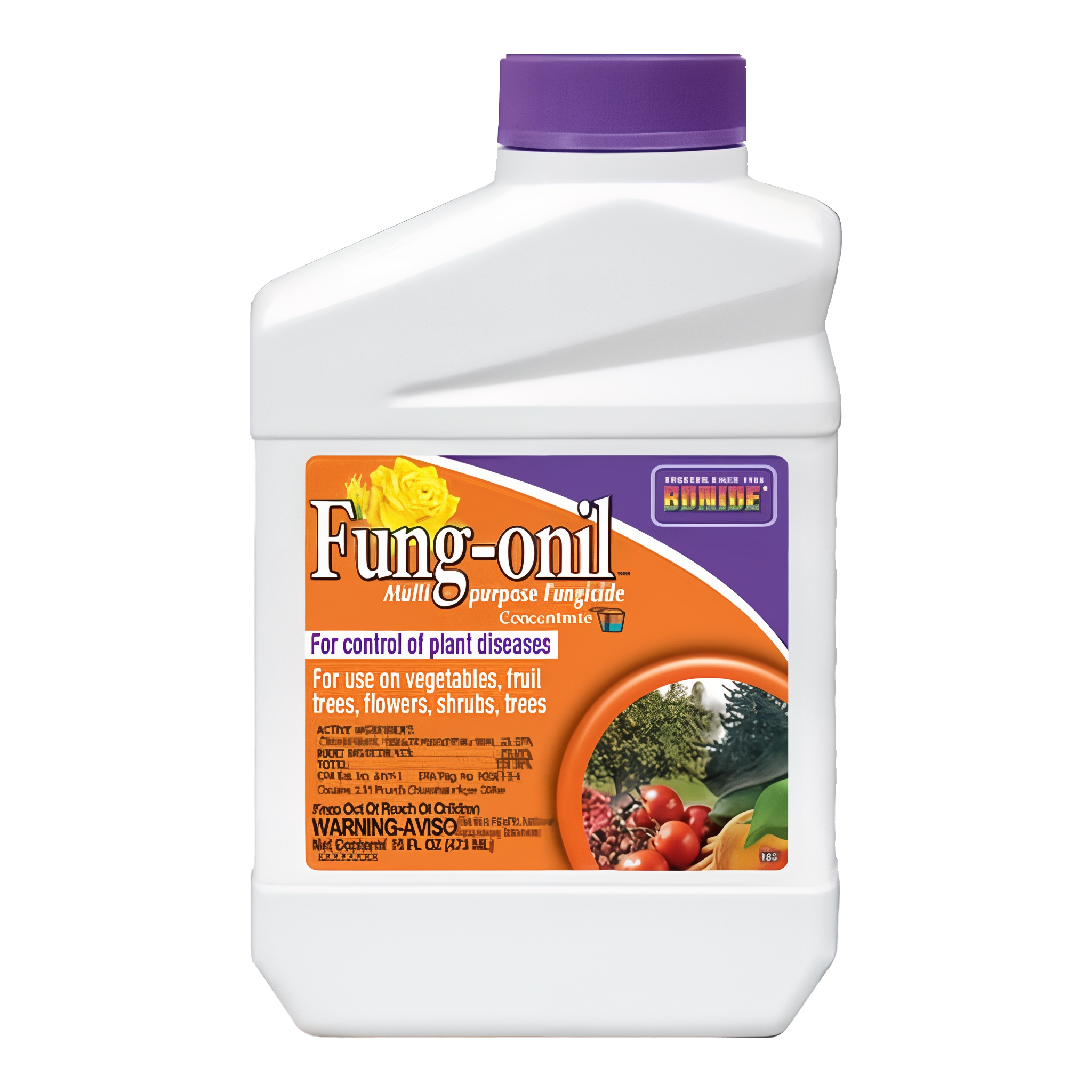Bonide Fungal Disease Control Fung-onil Multi-Purpose Fungicide Concentrate