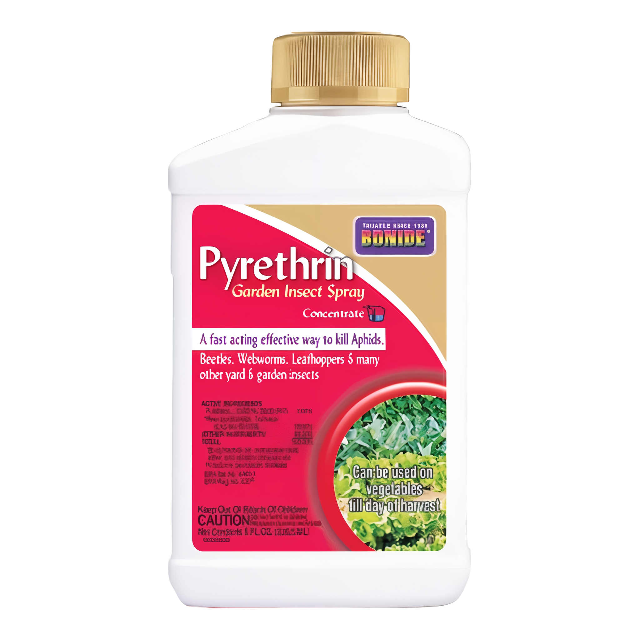 Bonide Pyrethrin Aphid Killer Concentrate