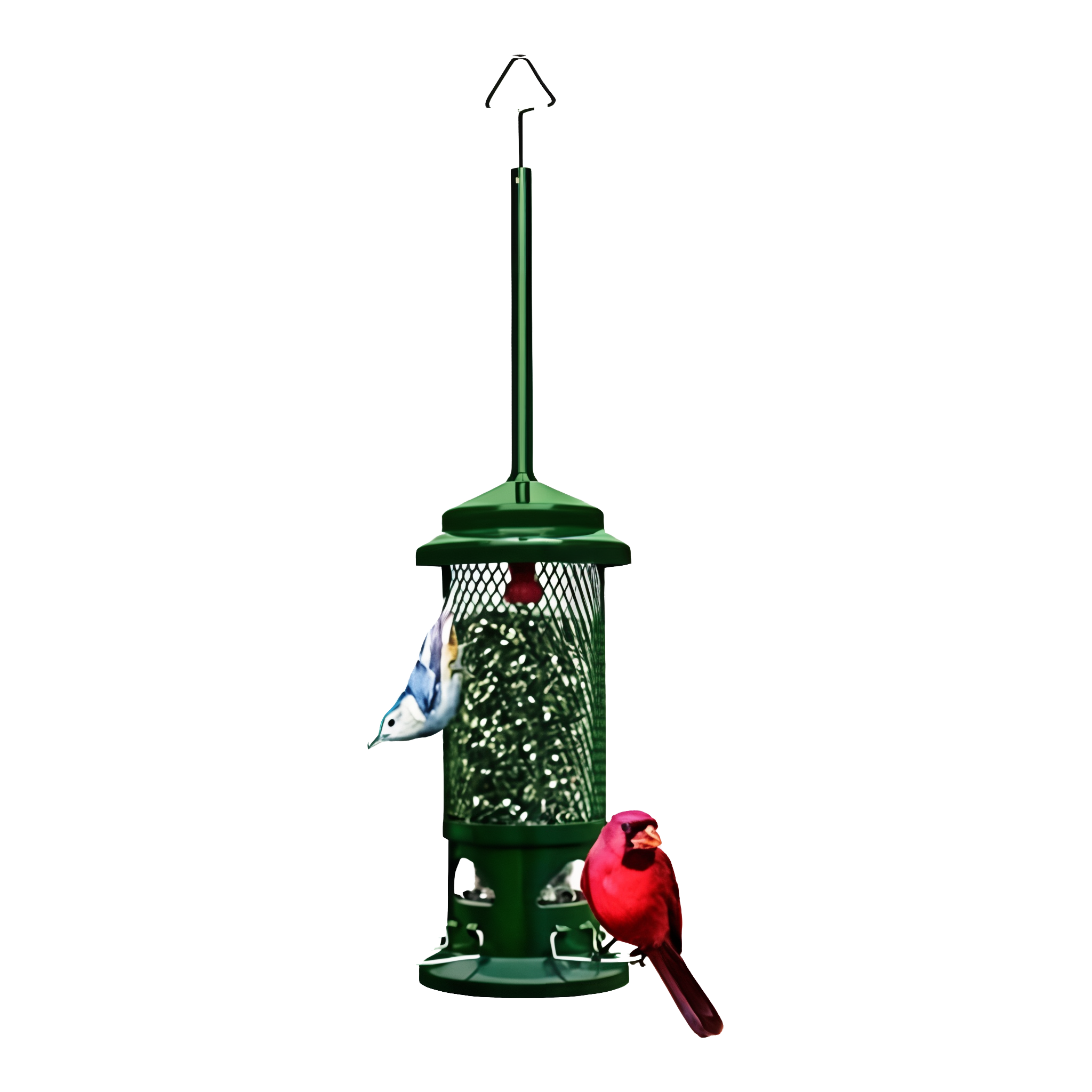 Brome Squirrel Buster Standard Wild Bird Feeder