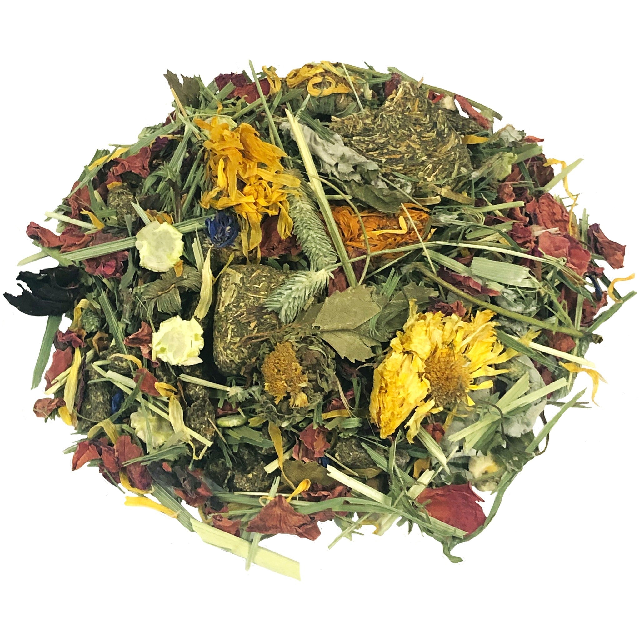 Closeup of the Tropical Carnival Natural Behaviors Guinea Pig Grain-Free Daily Diet blend