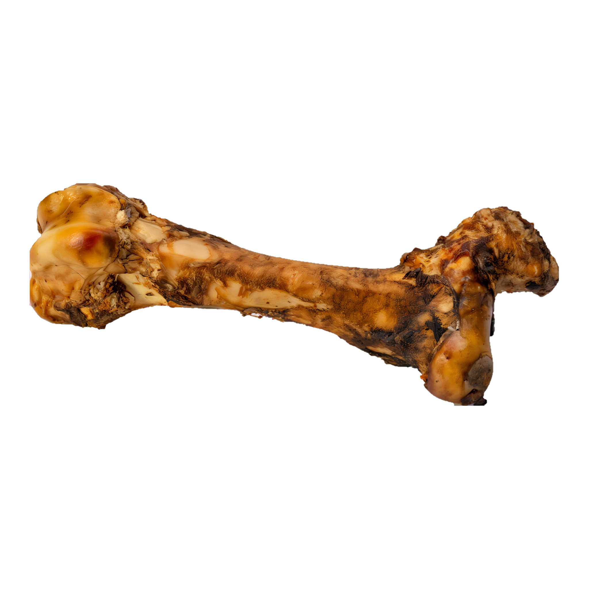 Butcher's Block Goliath hickory smoked whole beef femur dog chew #12-14"