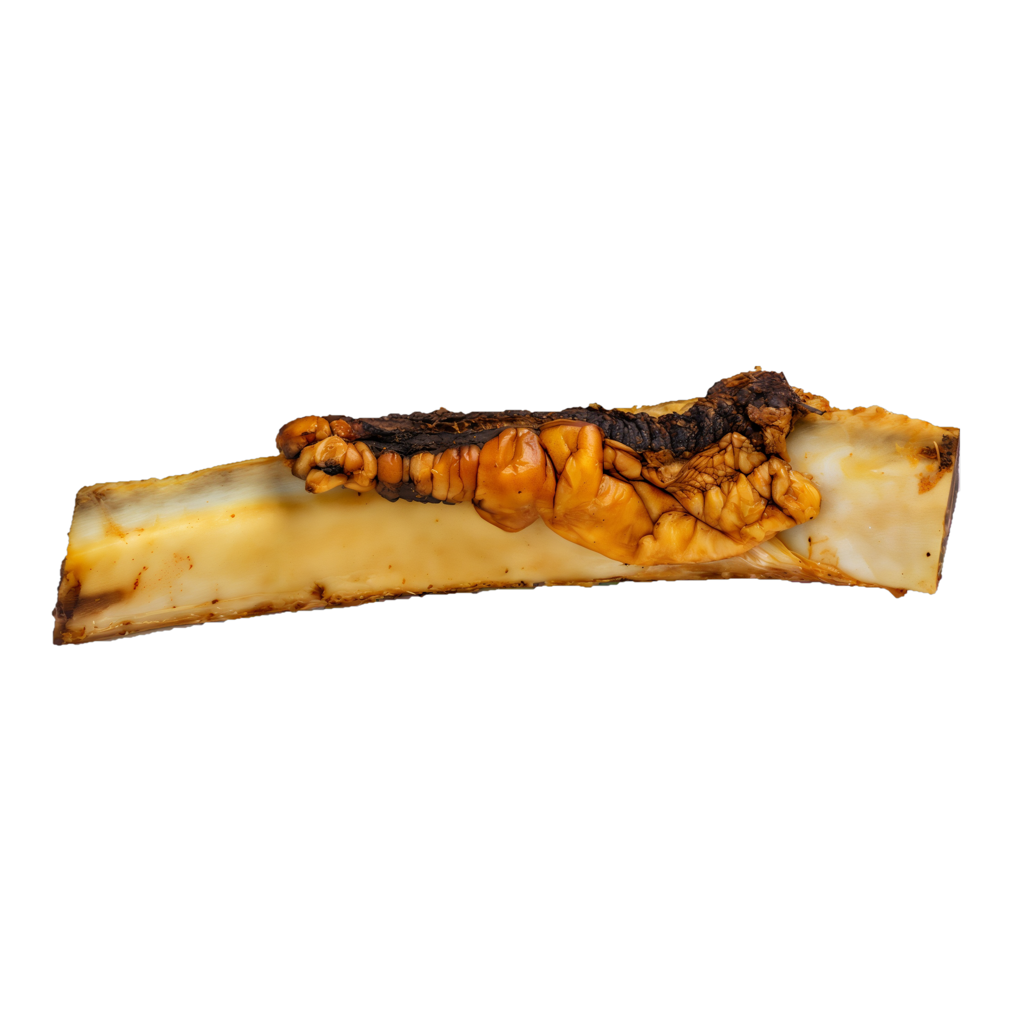 Butcher's Block Tail Wagger hickory smoked beef rib bone dog chew #8-10"