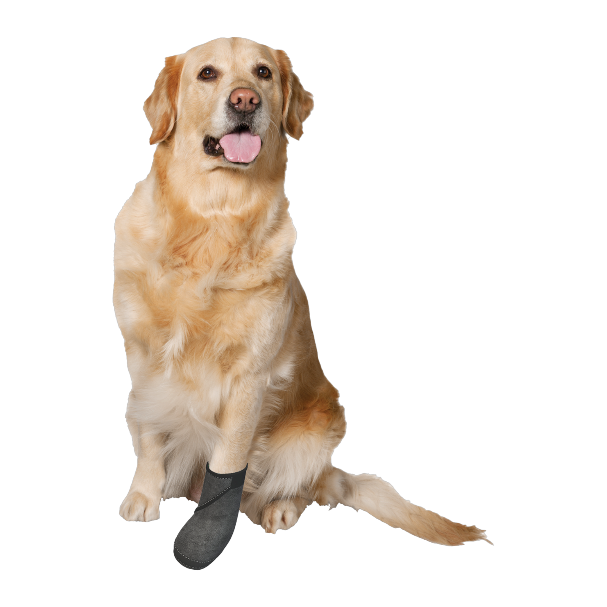 Calm Paws Recovery Boot