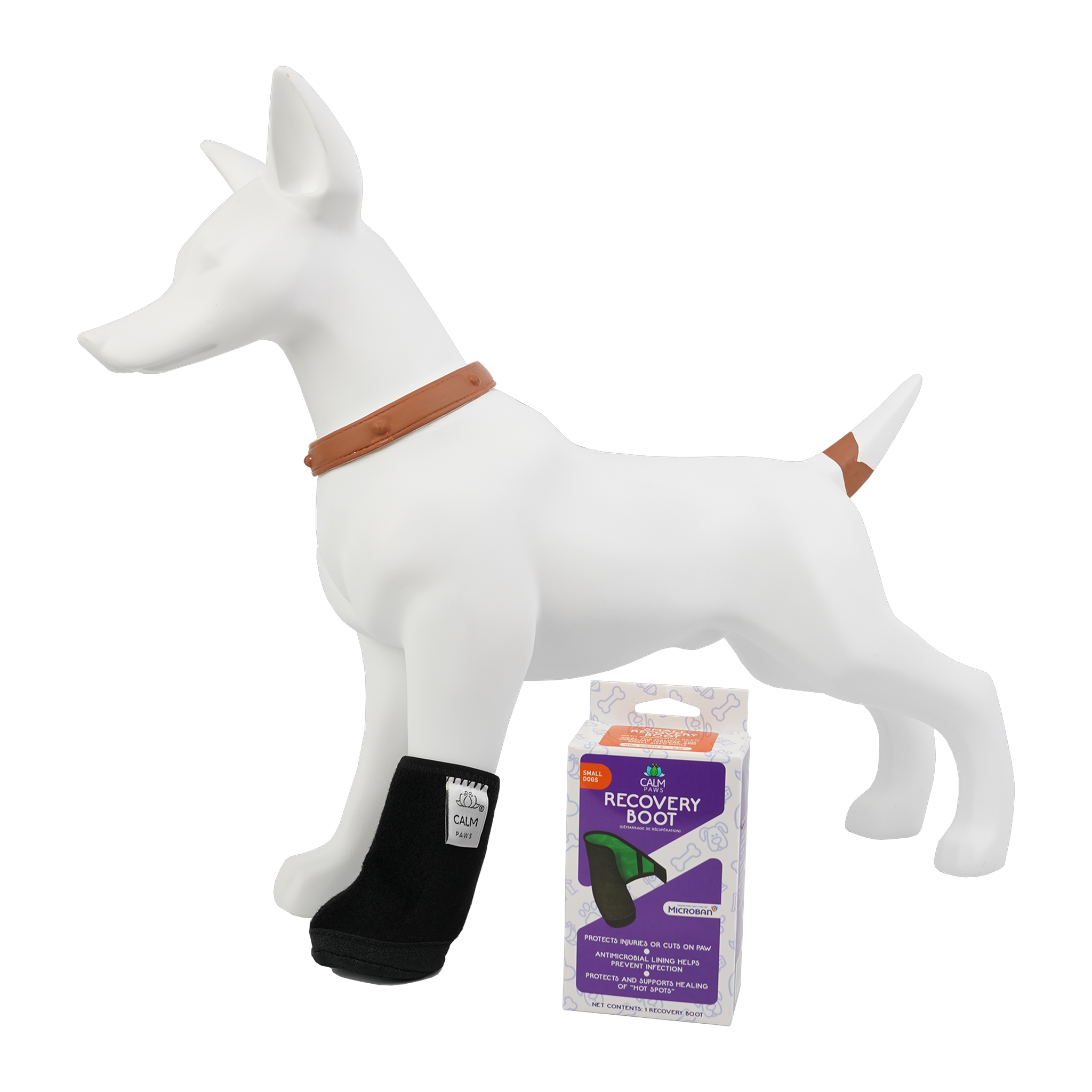 Calm Paws Recovery Boot