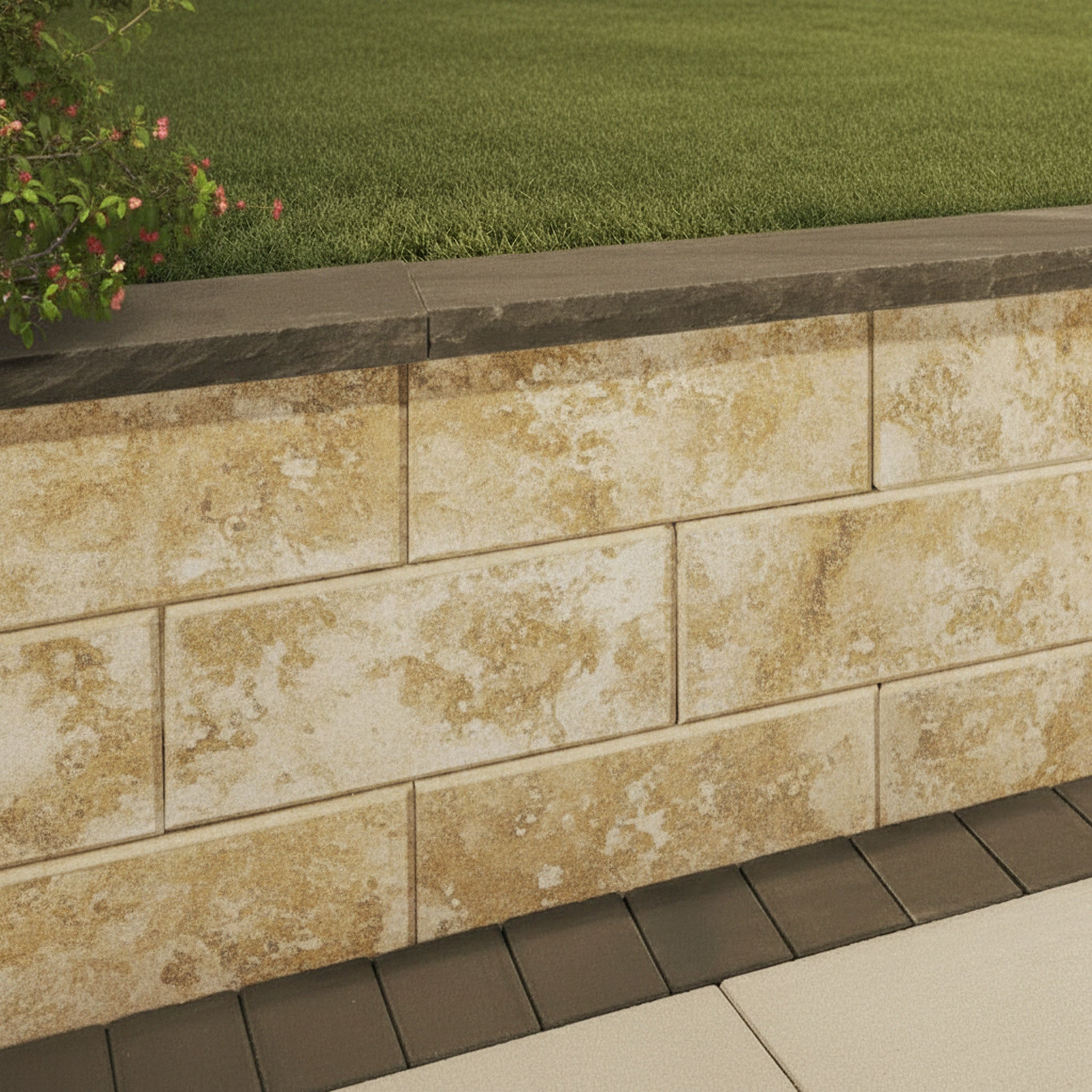 Sigma Plus 8" Smooth Wall (C) - Hero