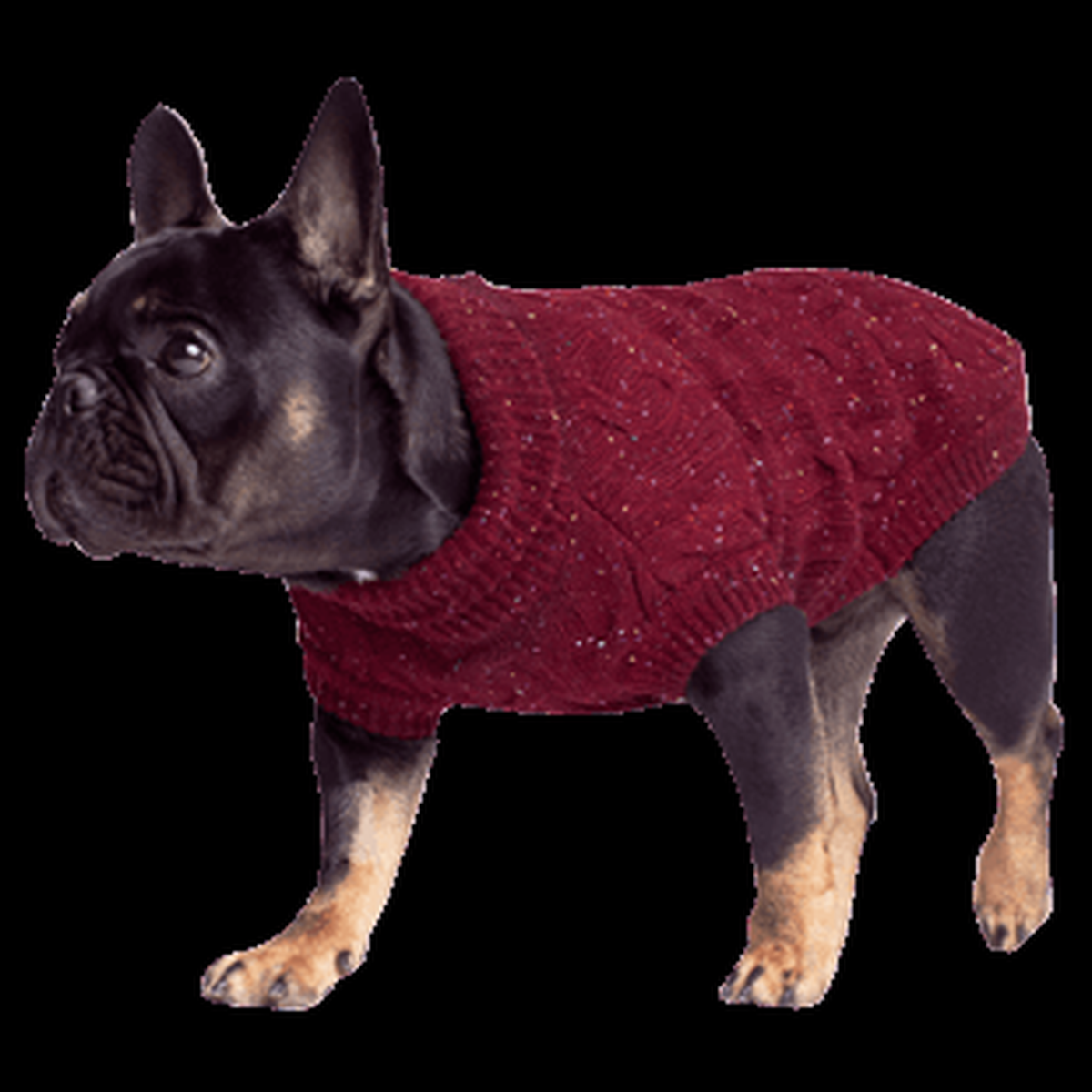 Canada Pooch Cambridge Cableknit Dog Sweater -- lifestyle