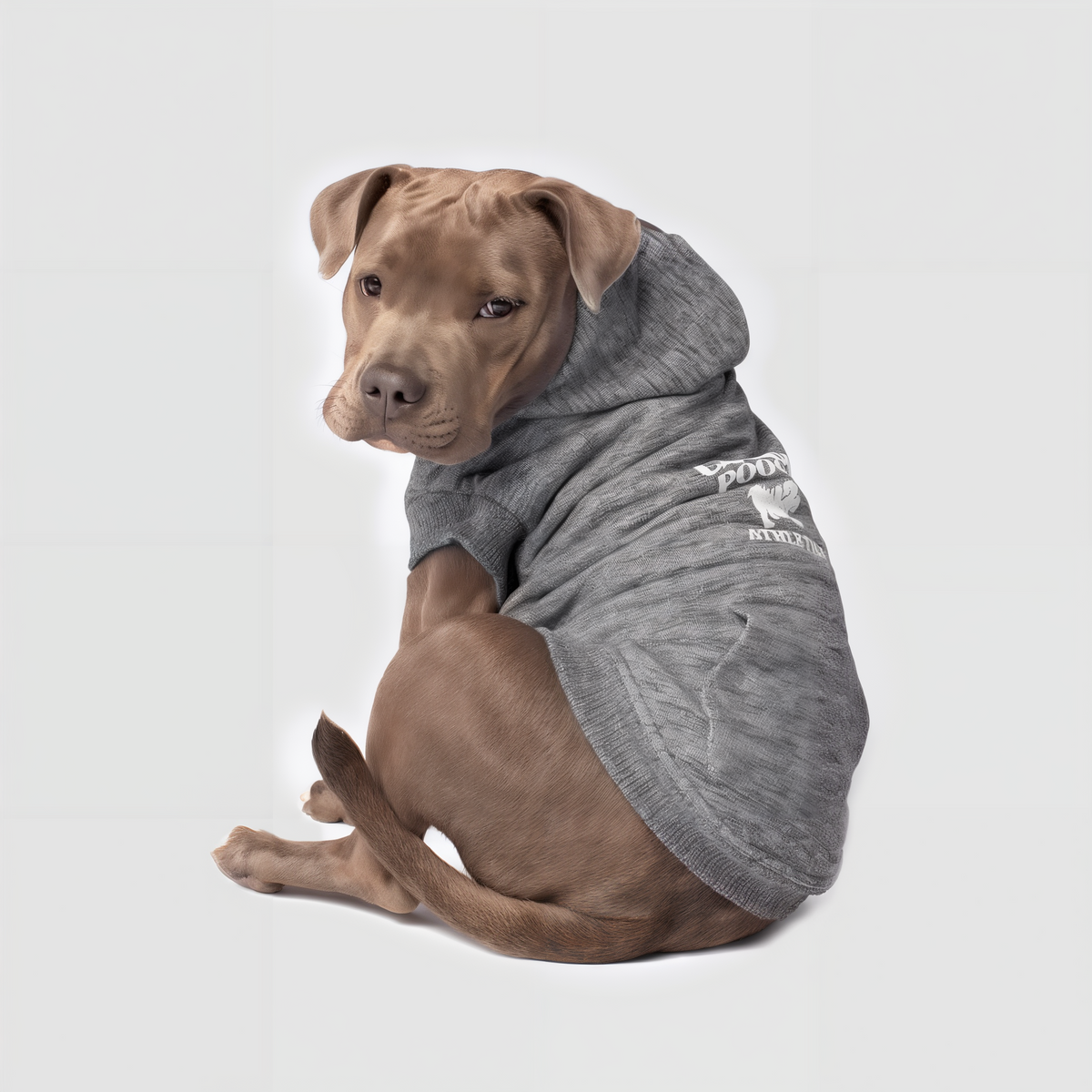 Canada Pooch Cozy Caribou Hoodie Maroon -- lifestyle