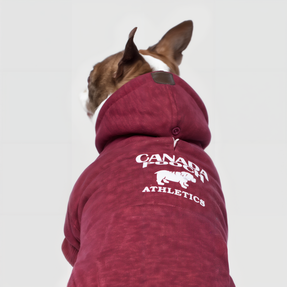Canada Pooch Cozy Caribou Hoodie Maroon -- lifestyle