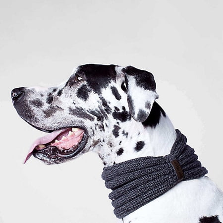 Canada Pooch Sierra Dog Scarf