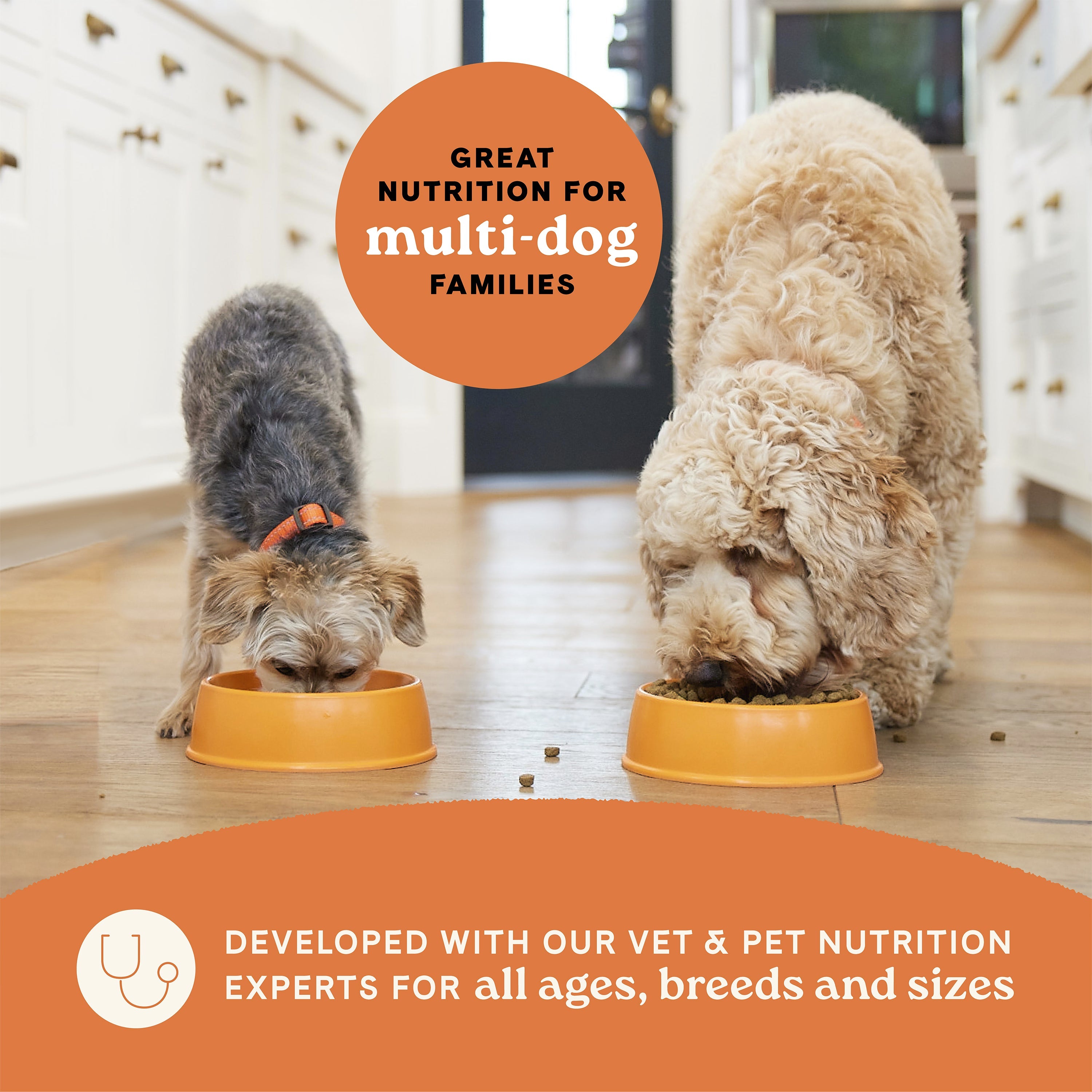 Two dogs eating Canidae All Life Stages dry dog food, great nutrition for multi-dog families of all ages, breeds and sizes