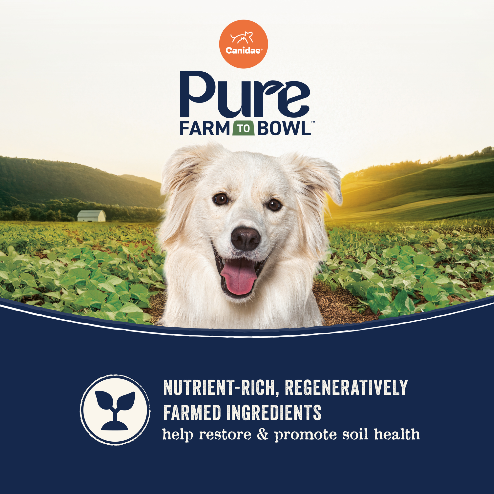 Nutrient-rich regeneratively farmed ingredients help restore and promote soil health